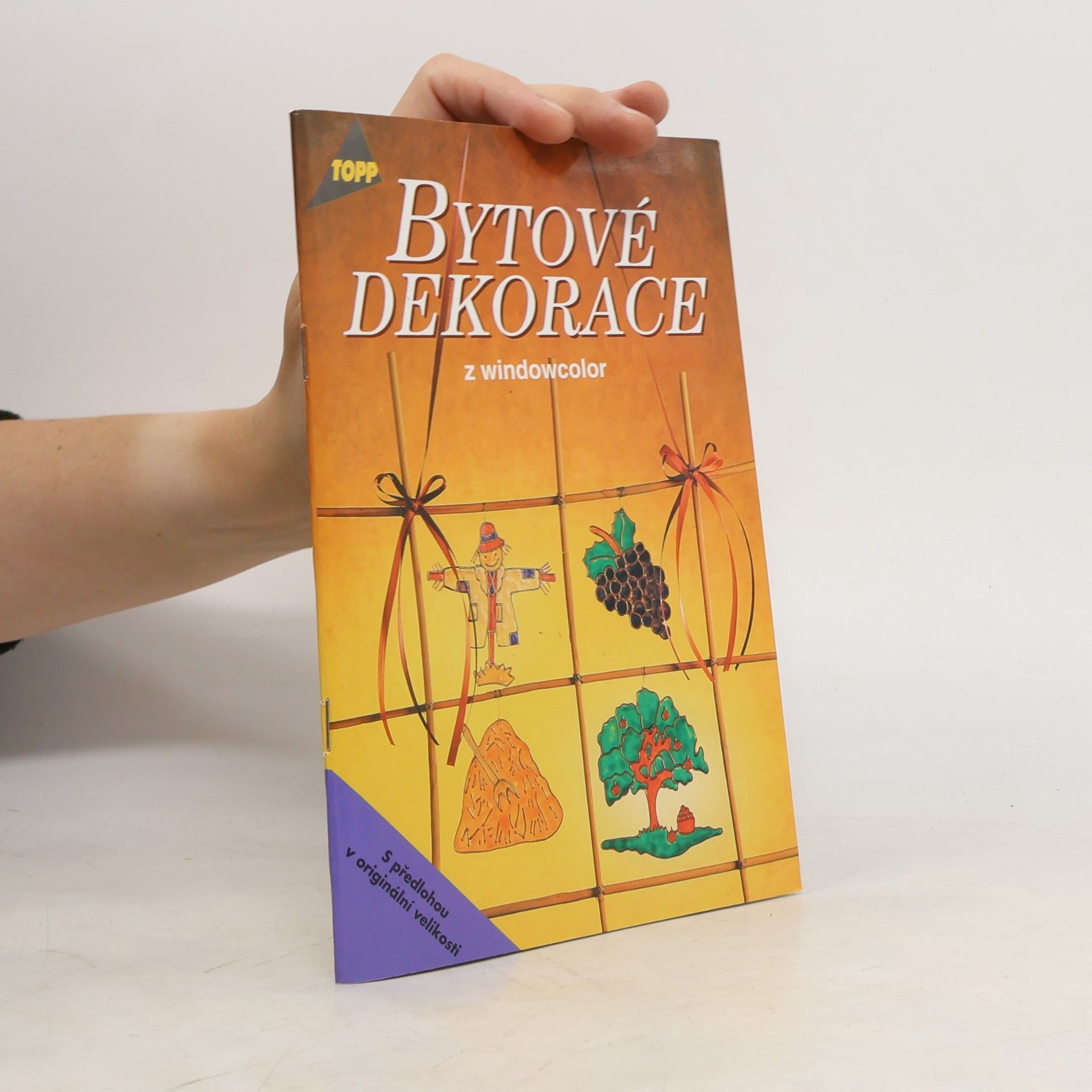 Various authors Bytové dekorace z windowcolor