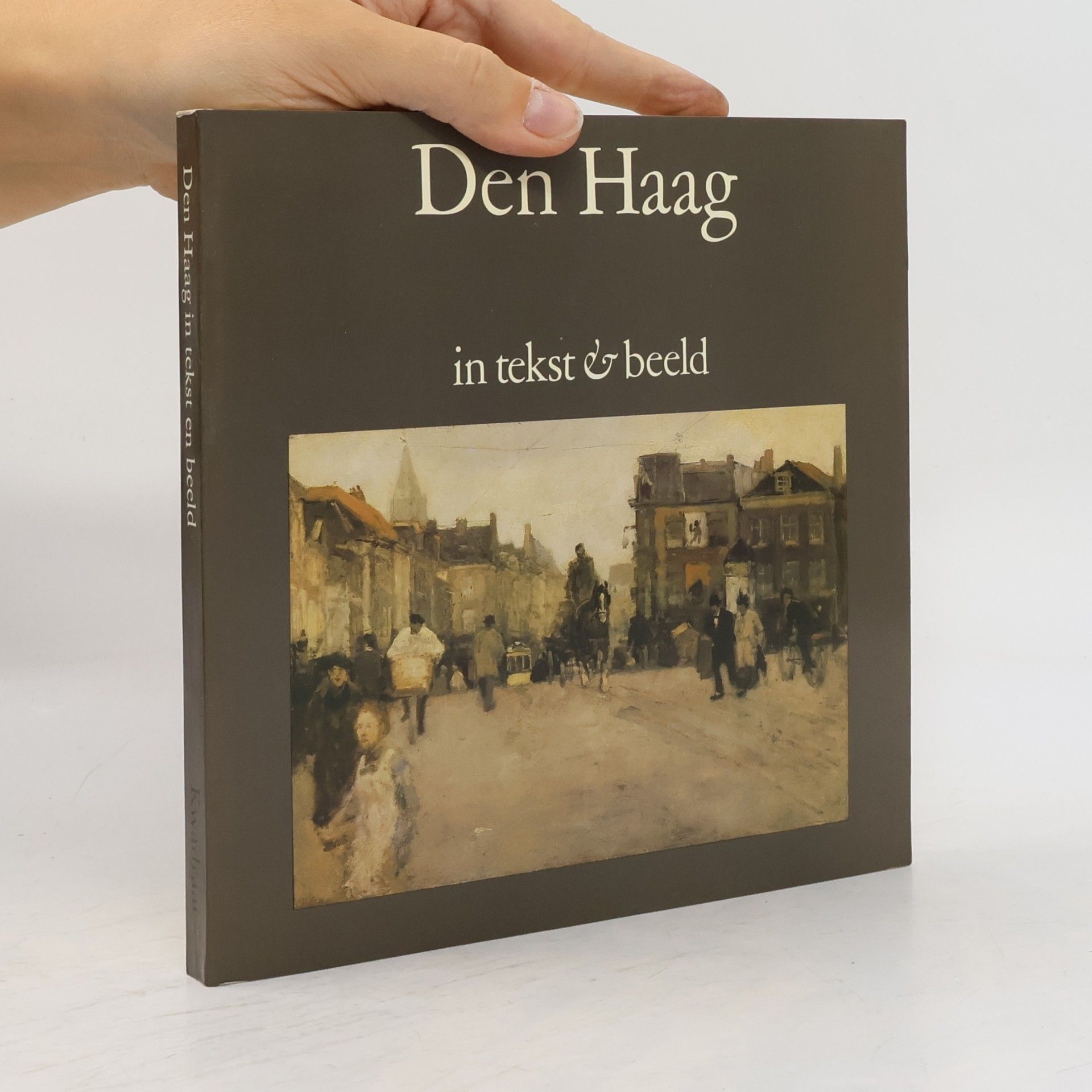Herman Verhaar Den Haag in tekst & beeld