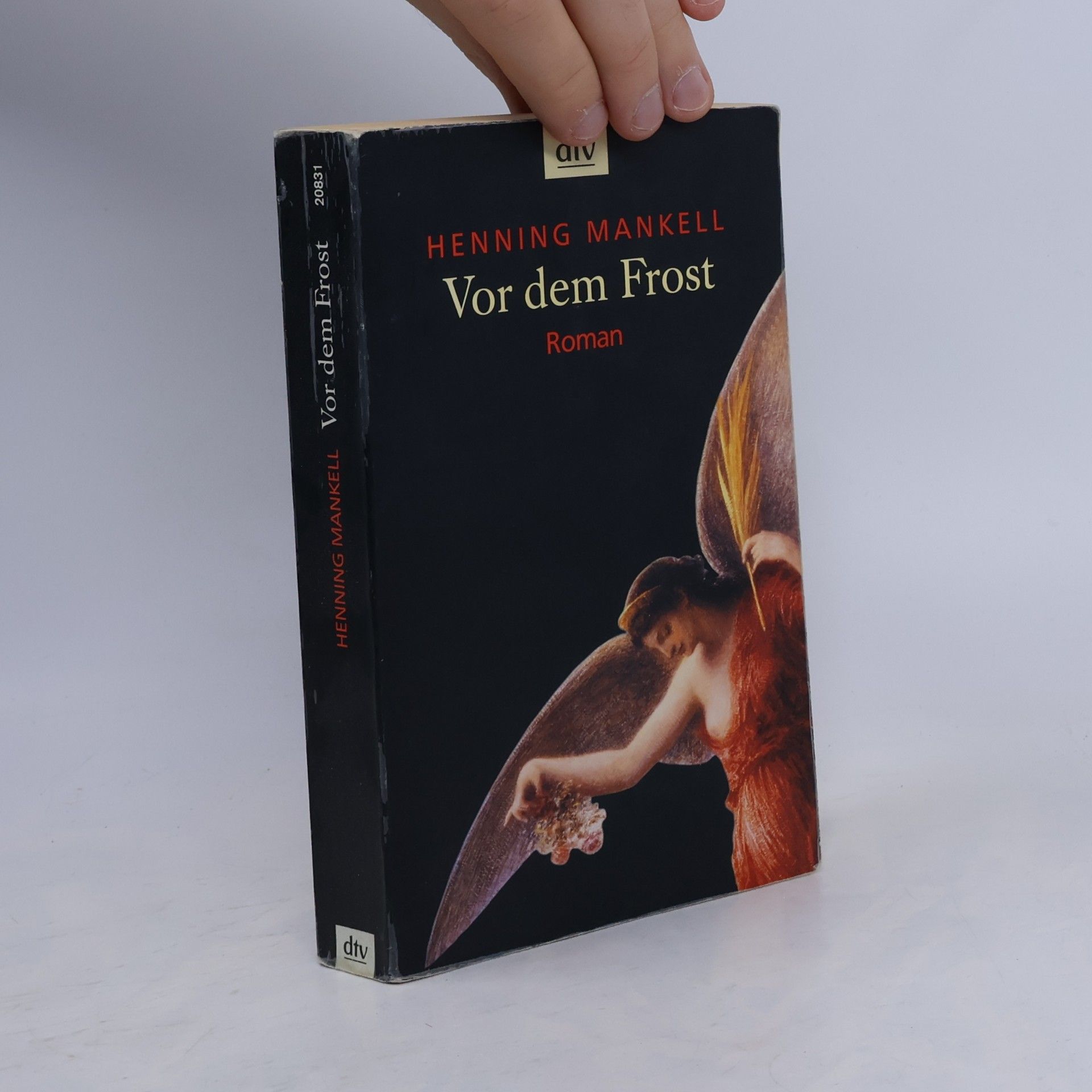 Henning Mankell Vor dem Frost