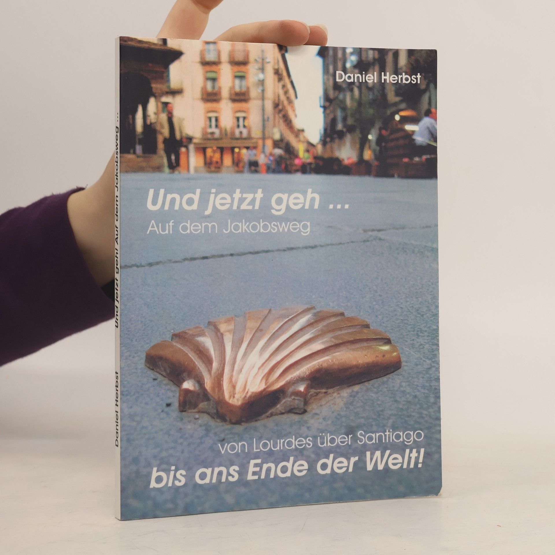 Daniel Herbst Und jetzt geh - auf dem Jakobsweg von Lourdes über Santiago - bis ans Ende der Welt!
