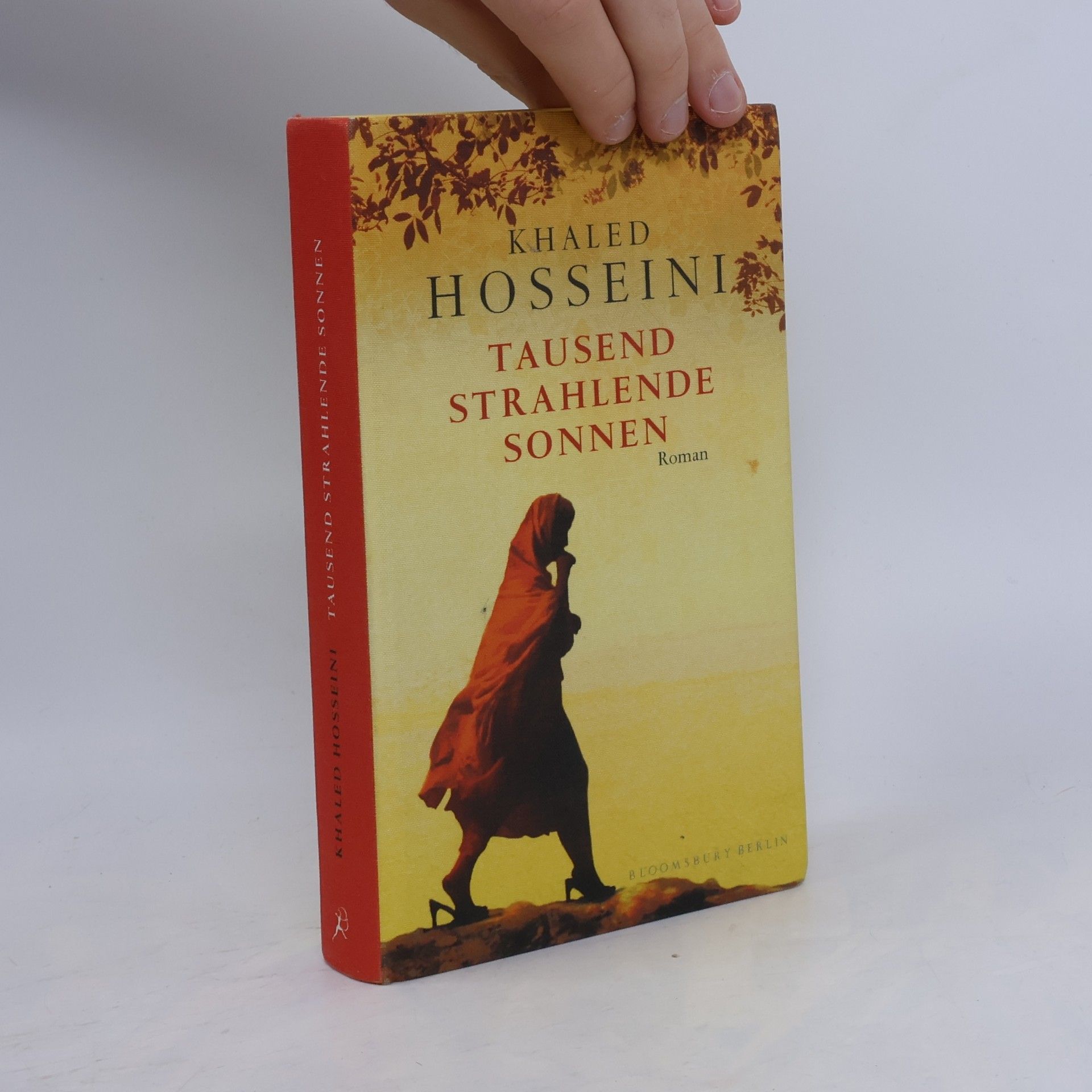 Khaled Hosseini Tausend strahlende sonnen