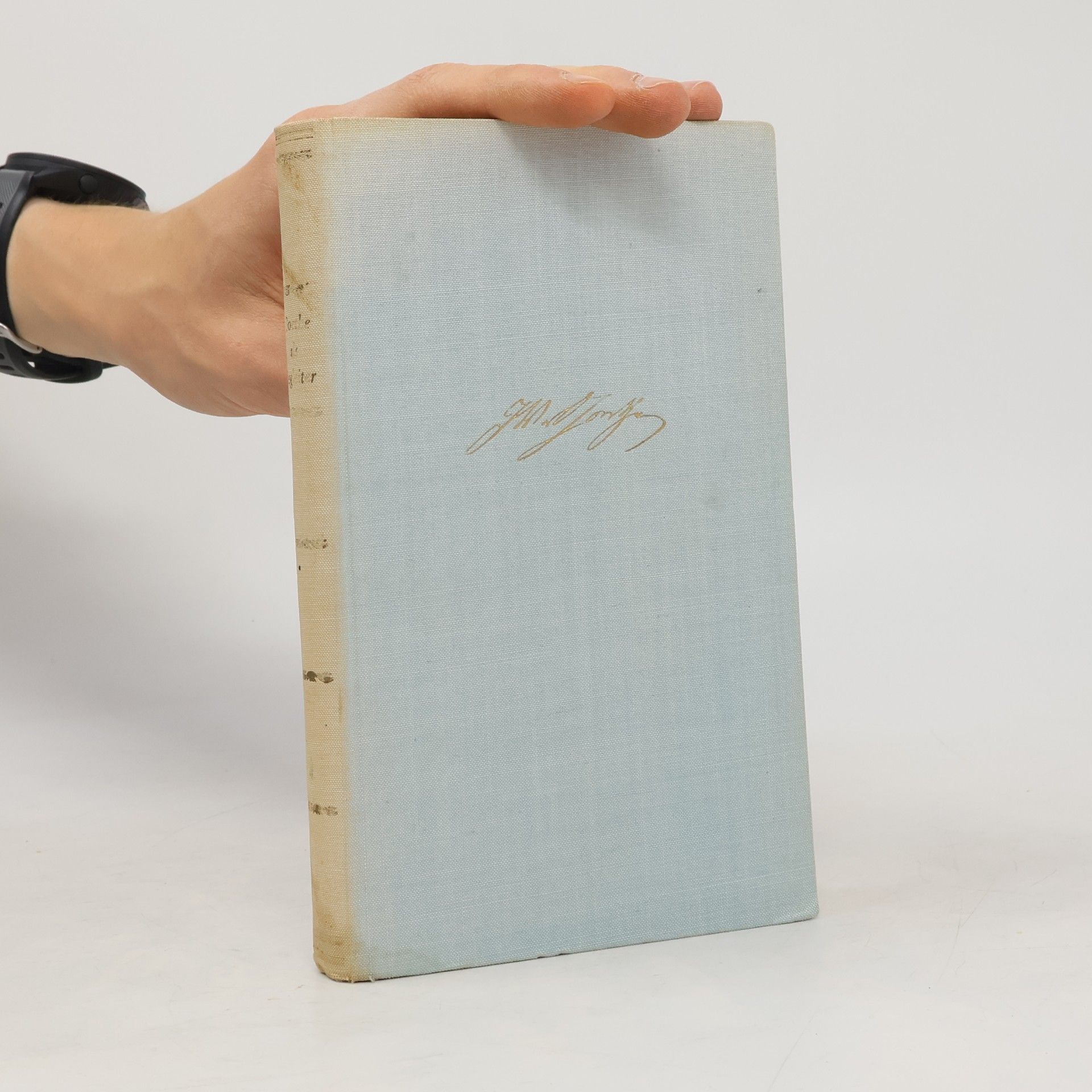 Johann Wolfgang von Goethe Goethe als Begleiter