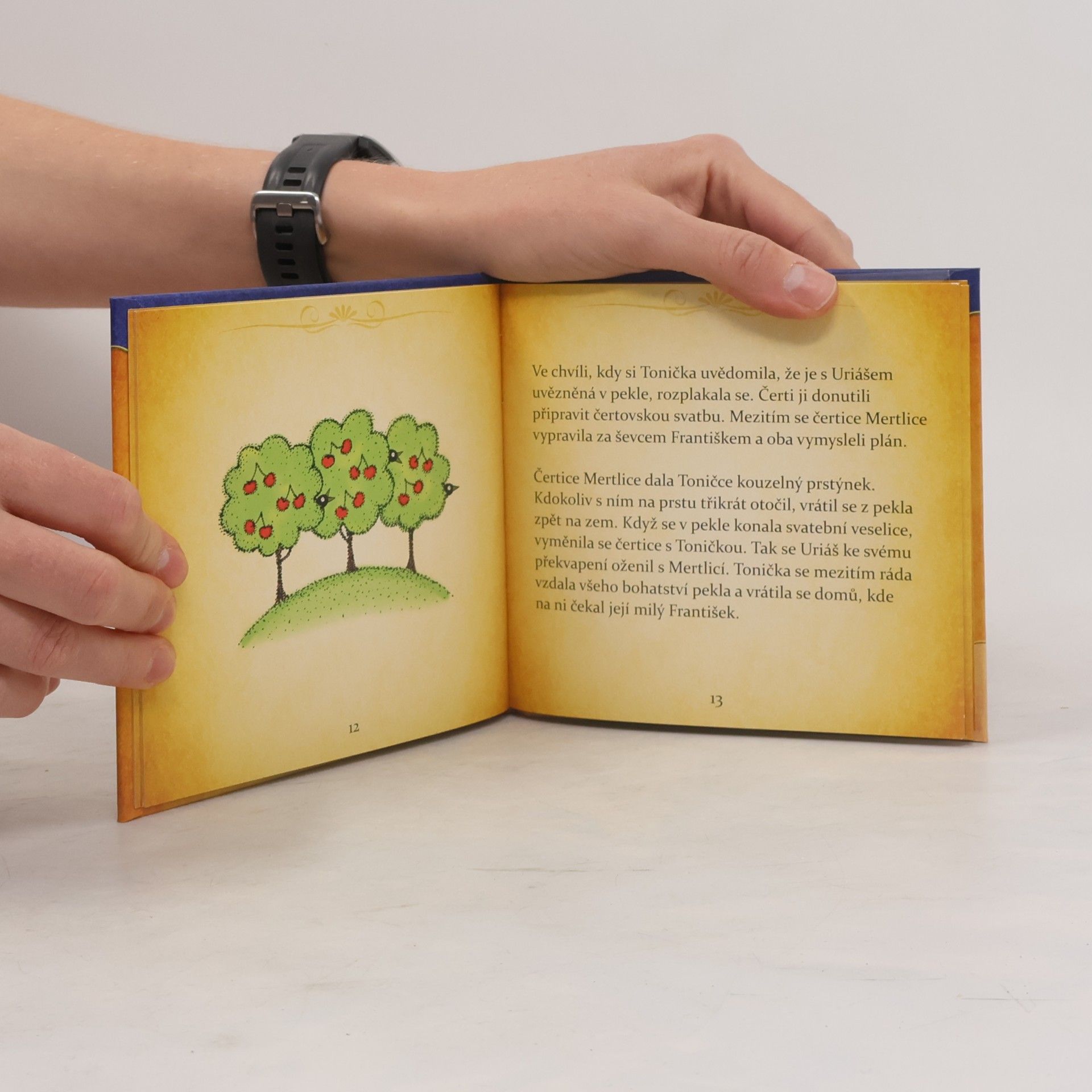 Autorenkollektiv Zlatovláska a další pohádky - audio a kniha
