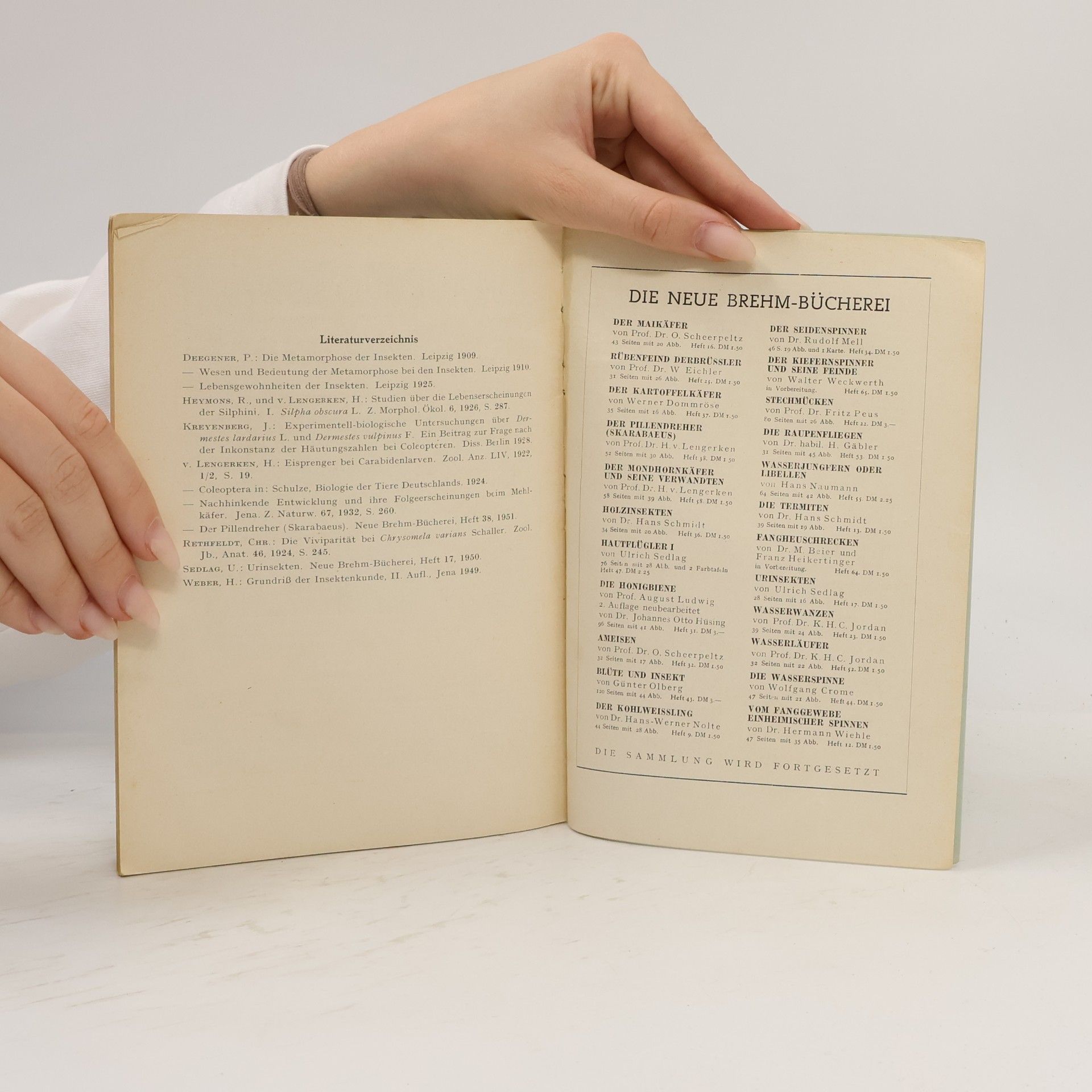 Dr. Johannes Otto Hüsing Die Metamorphose der Insekten