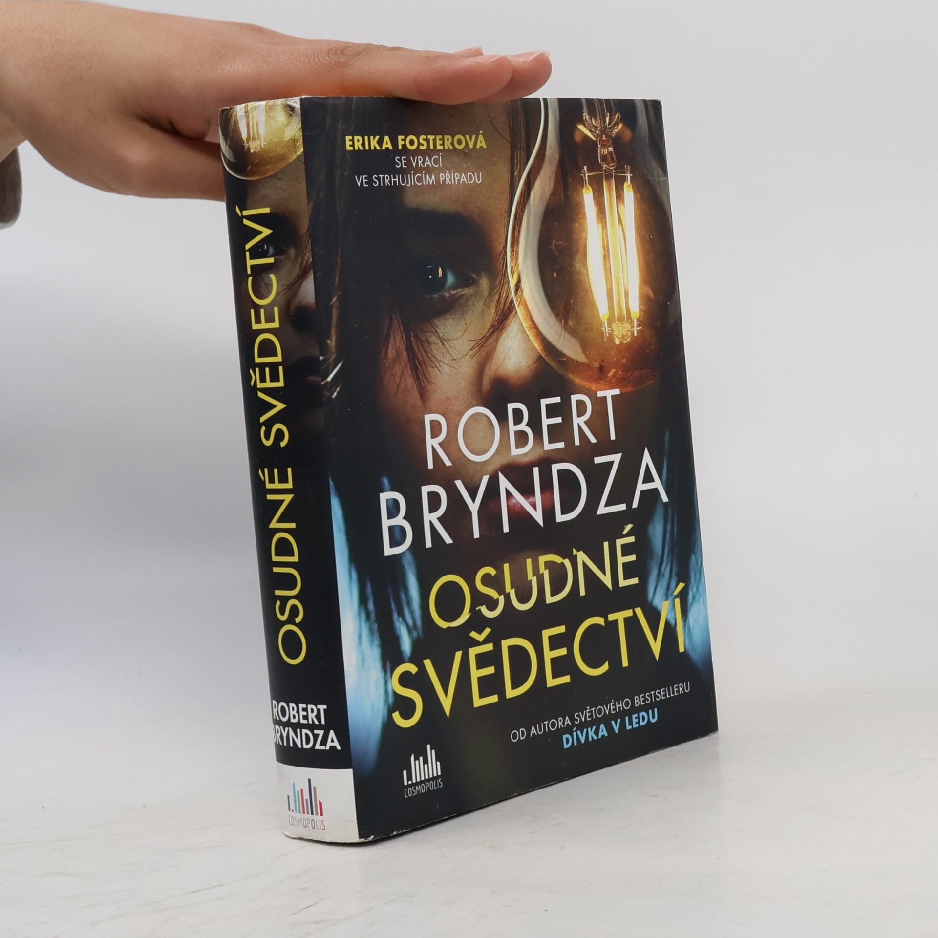 Robert Bryndza Osudné svědectví