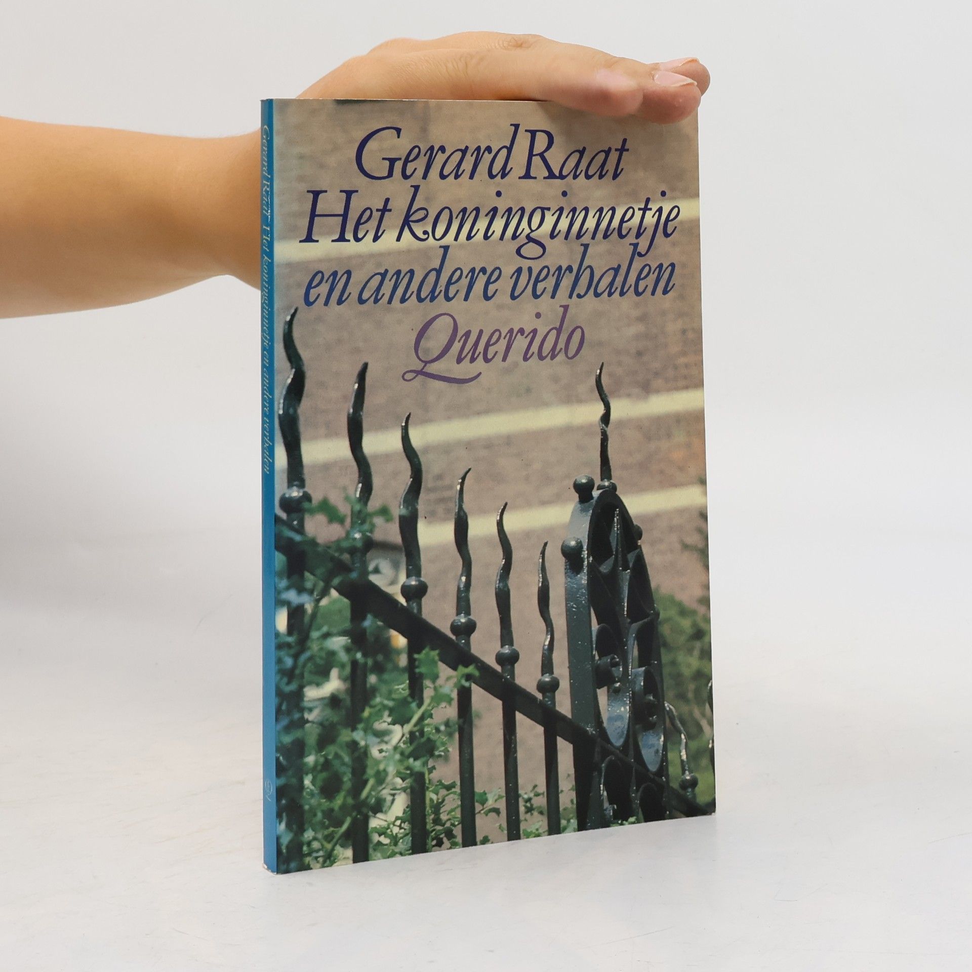 Gerard Raat Het koninginnetje en andere verhalen