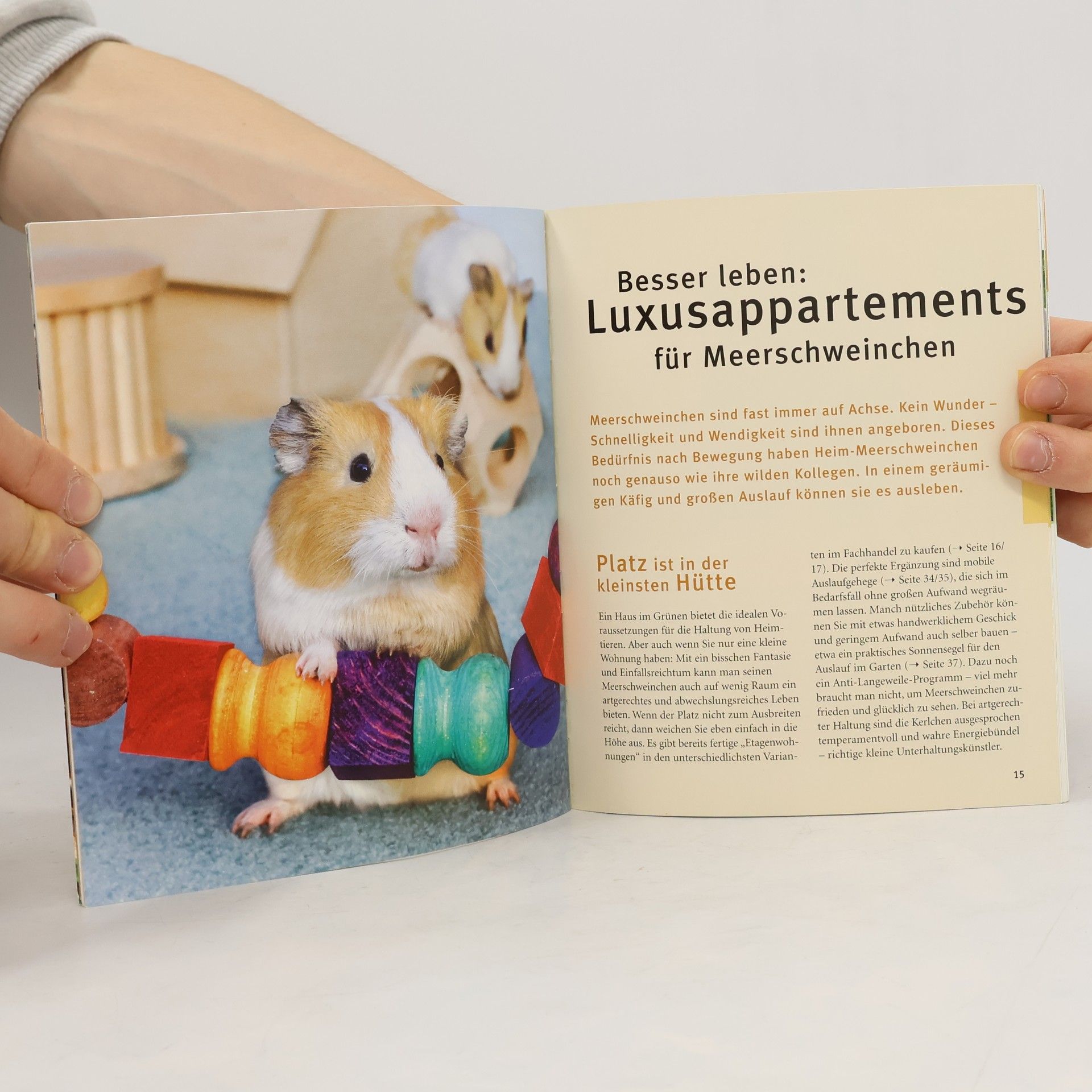 Esther Schmidt Meerschweinchen-Wohlfühl-Heime gestalten