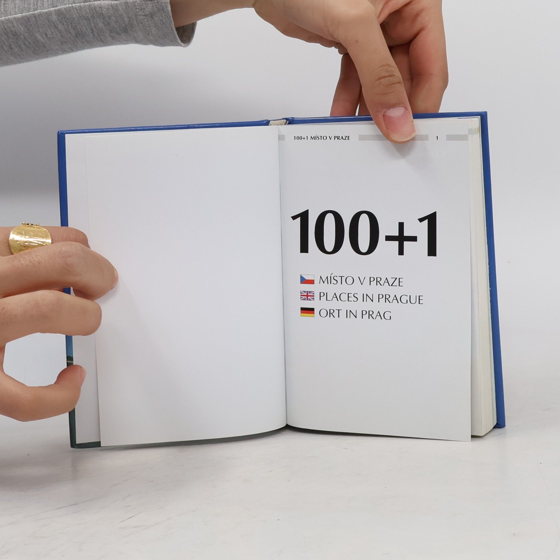 Collectif d'auteurs 100+1