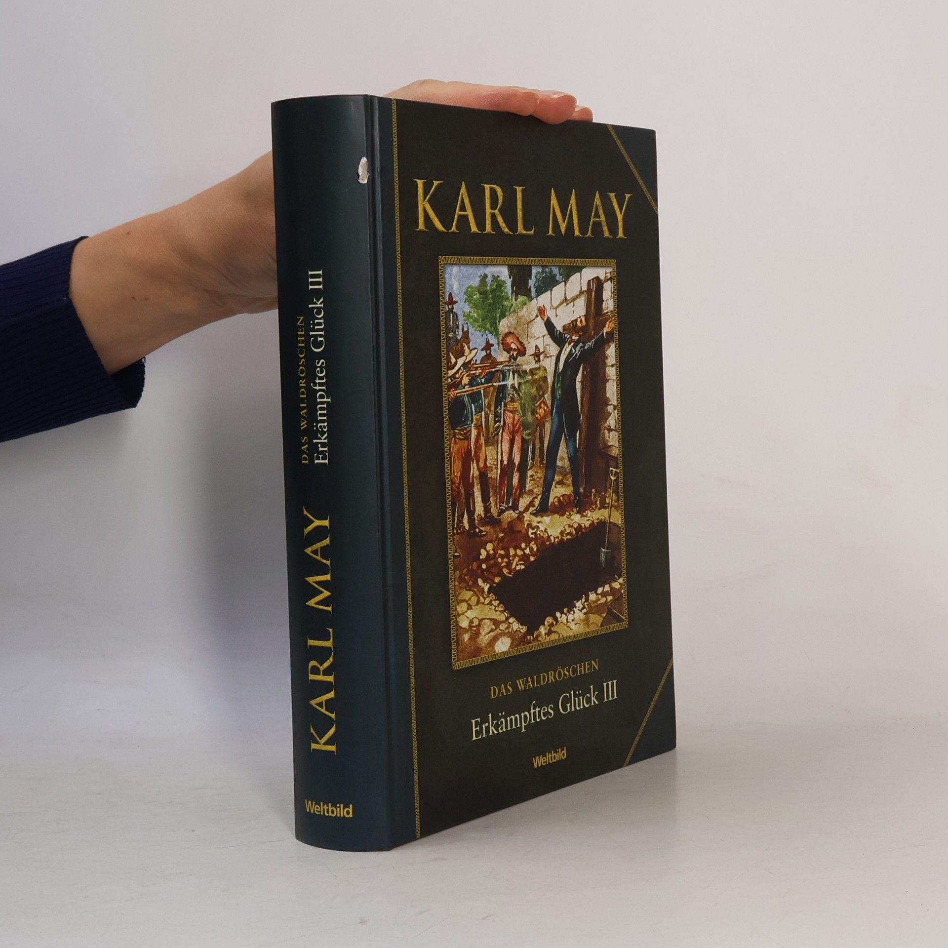 Karl May Das Waldröschen. Erkämpftes Glück III.