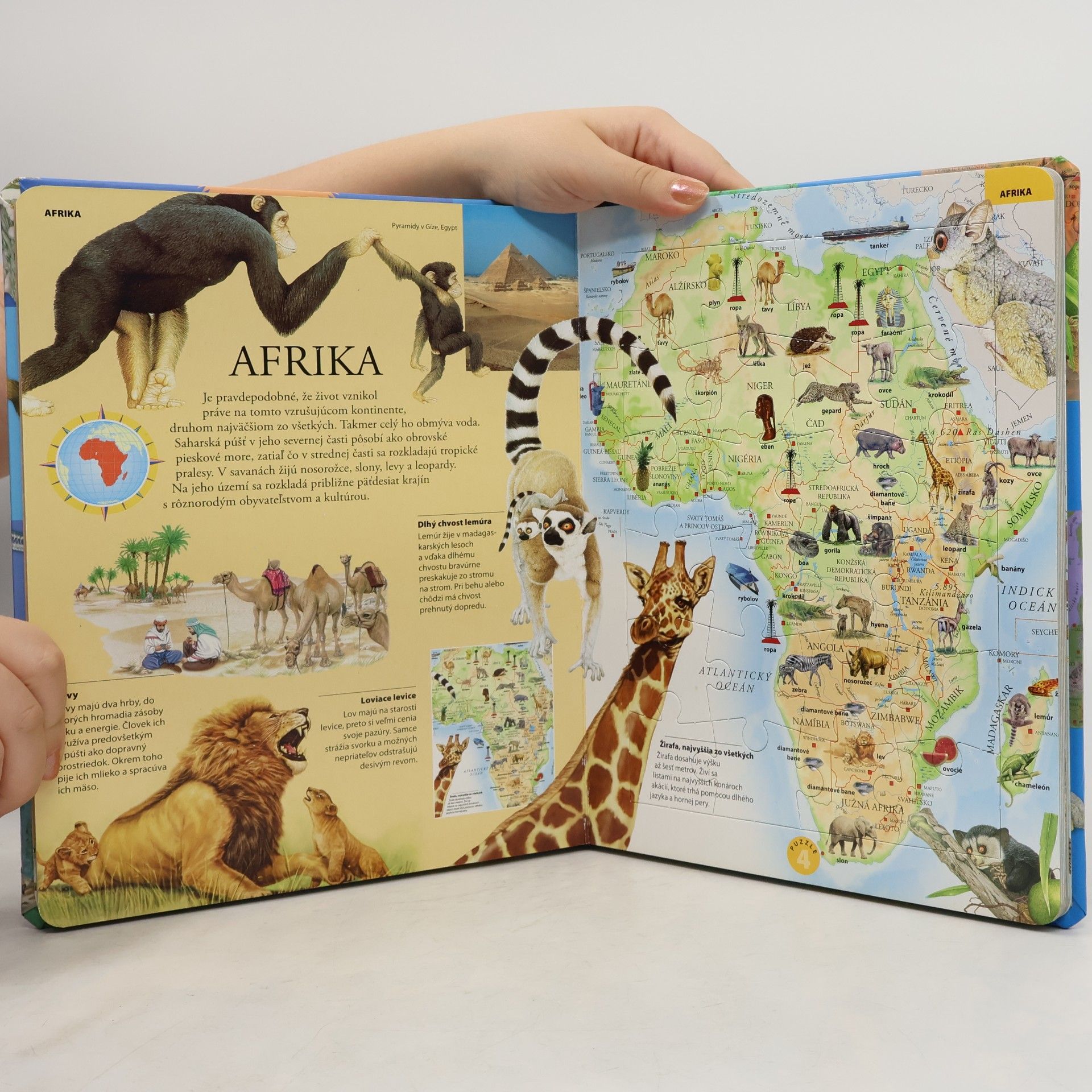 Autorenkollektiv Puzzle atlas zvierat
