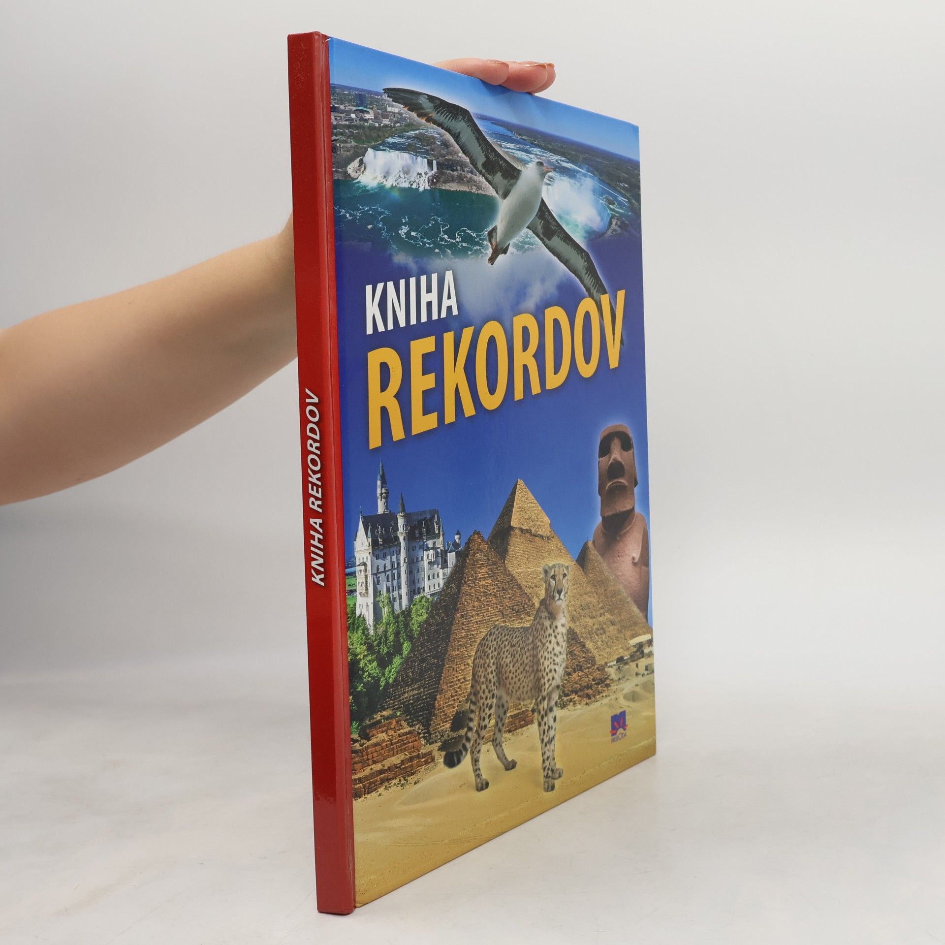 Various authors Kniha rekordov
