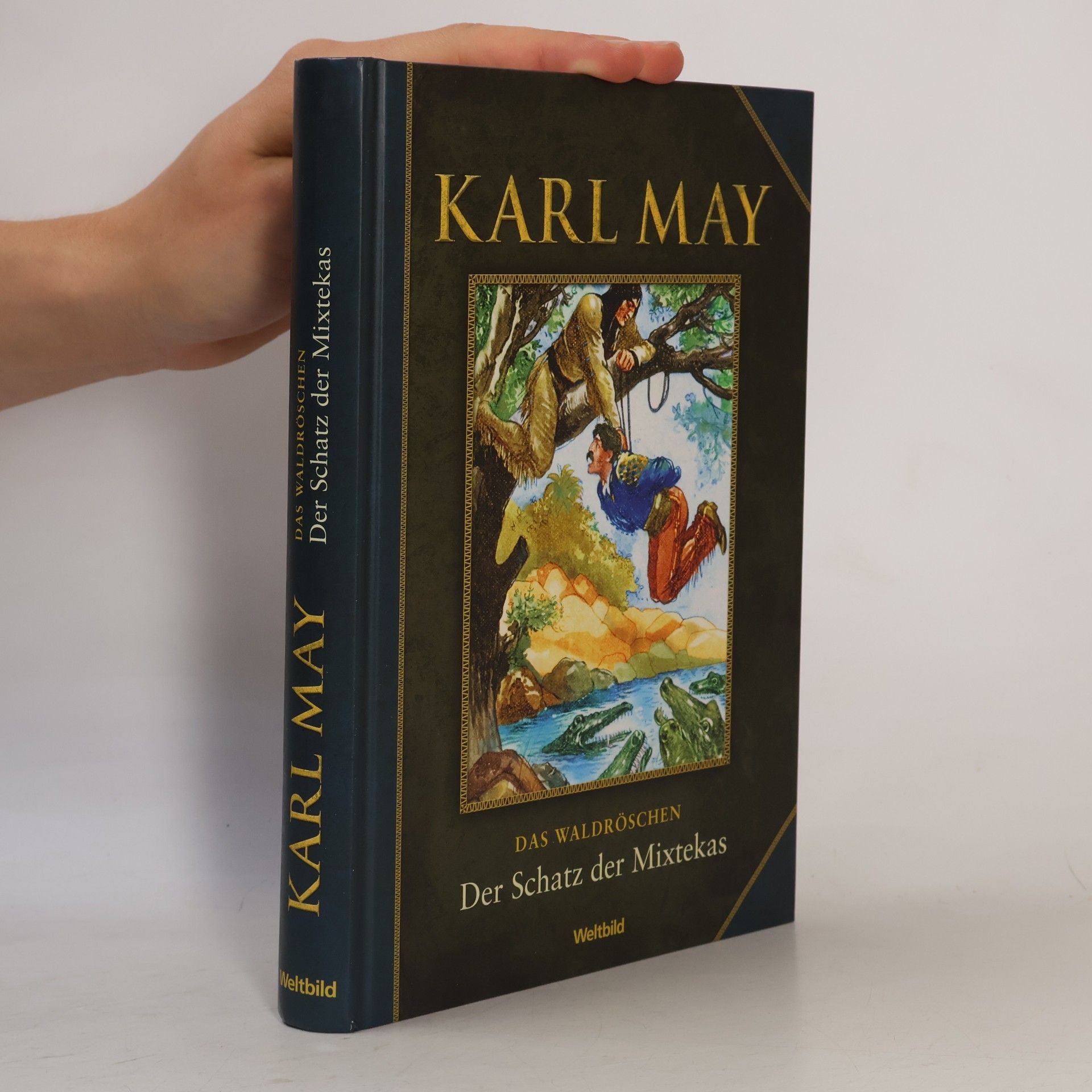 Karl May Der Schatz der Mixtekas