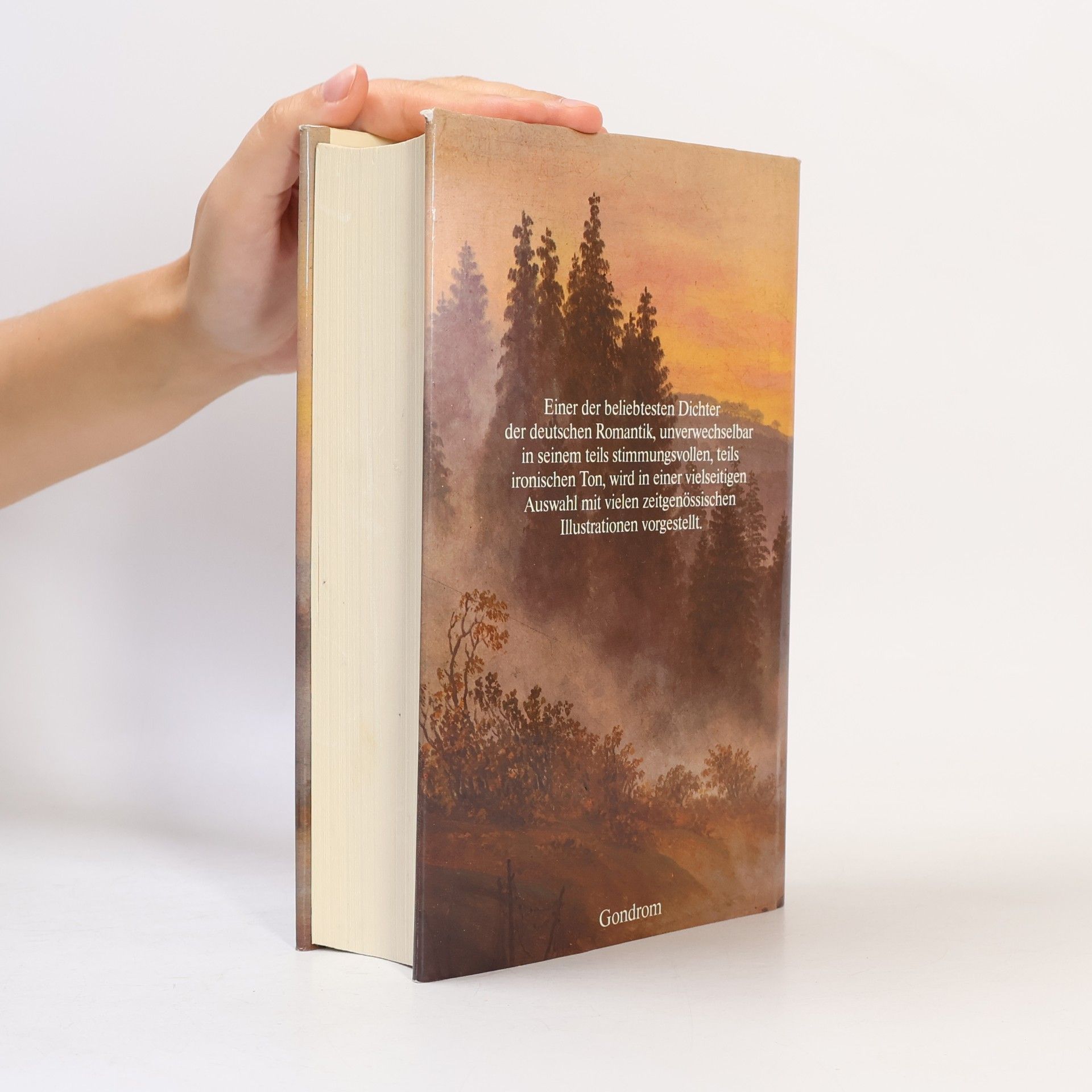 Heinrich Heine Heinrich-Heine-Hausbuch