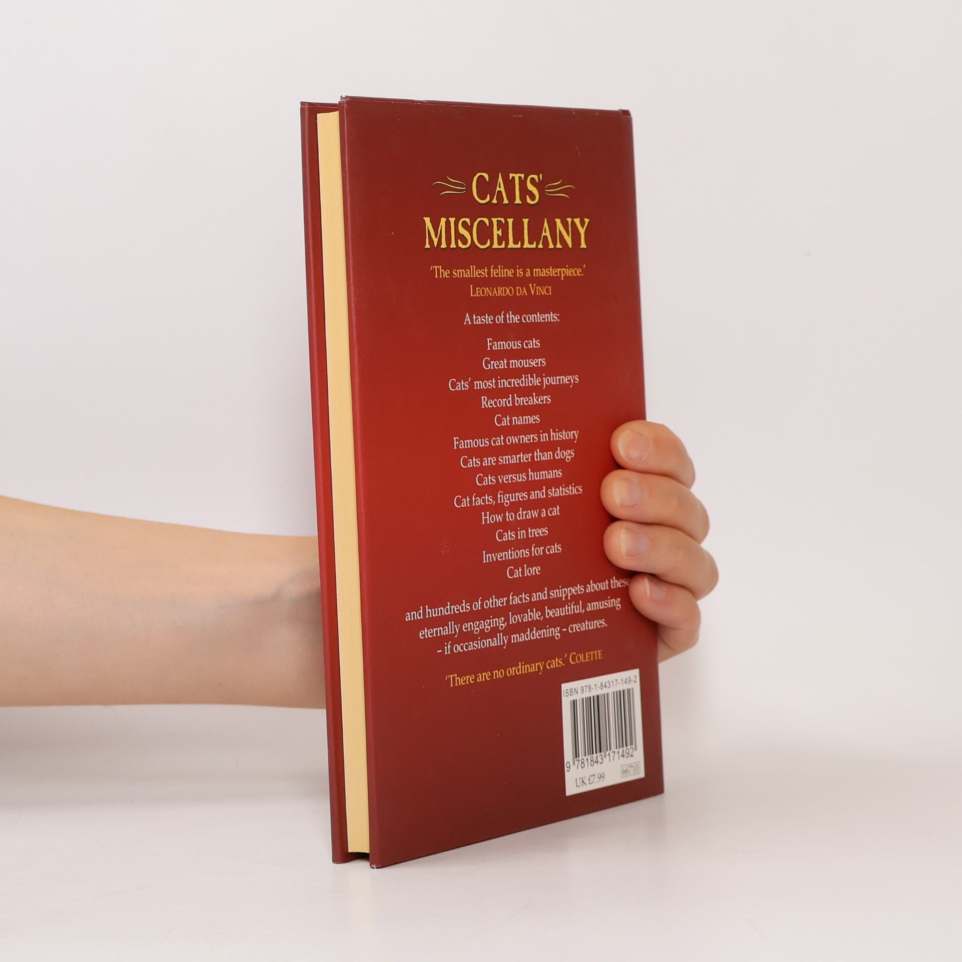 Lesley OMara Cats' Miscellany