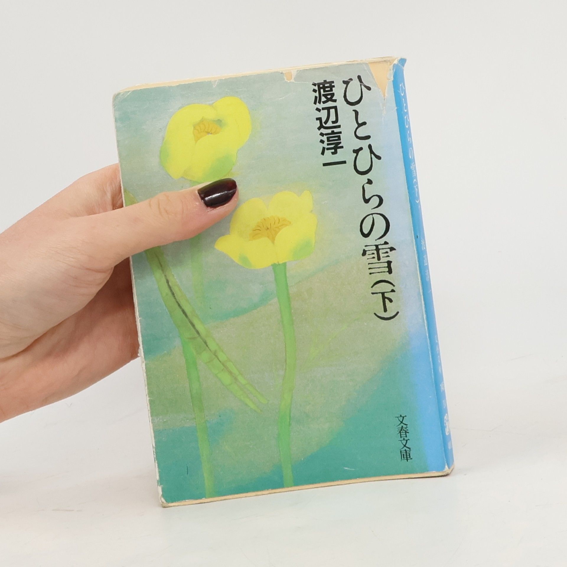 Jun'ichi Watanabe 文春文庫: ひとひらの雪〈下〉