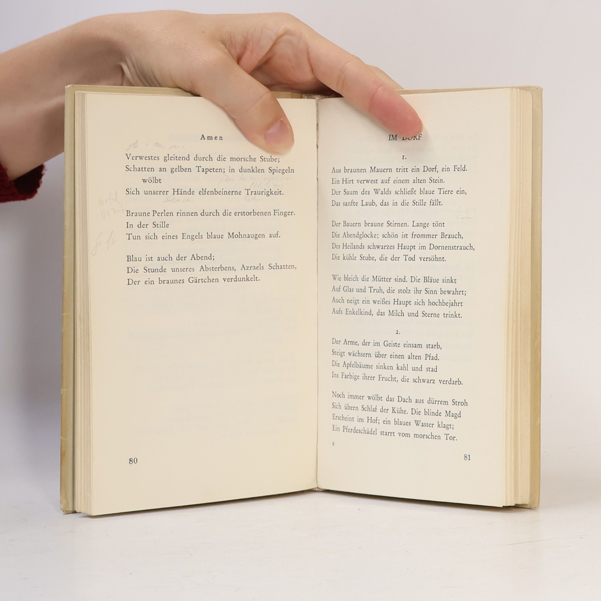 Georg Trakl Die Dichtungen
