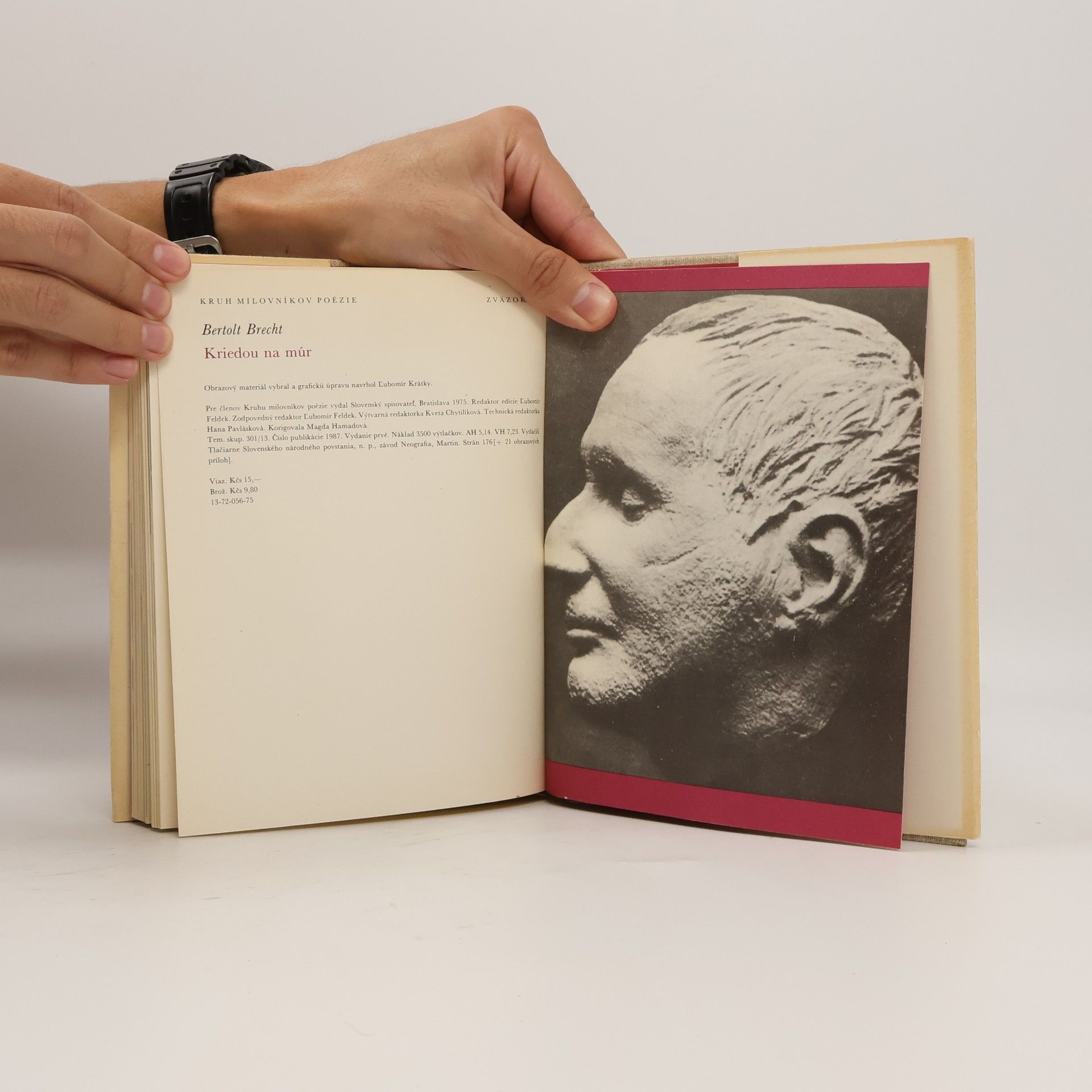 Bertolt Brecht Kriedou na múr