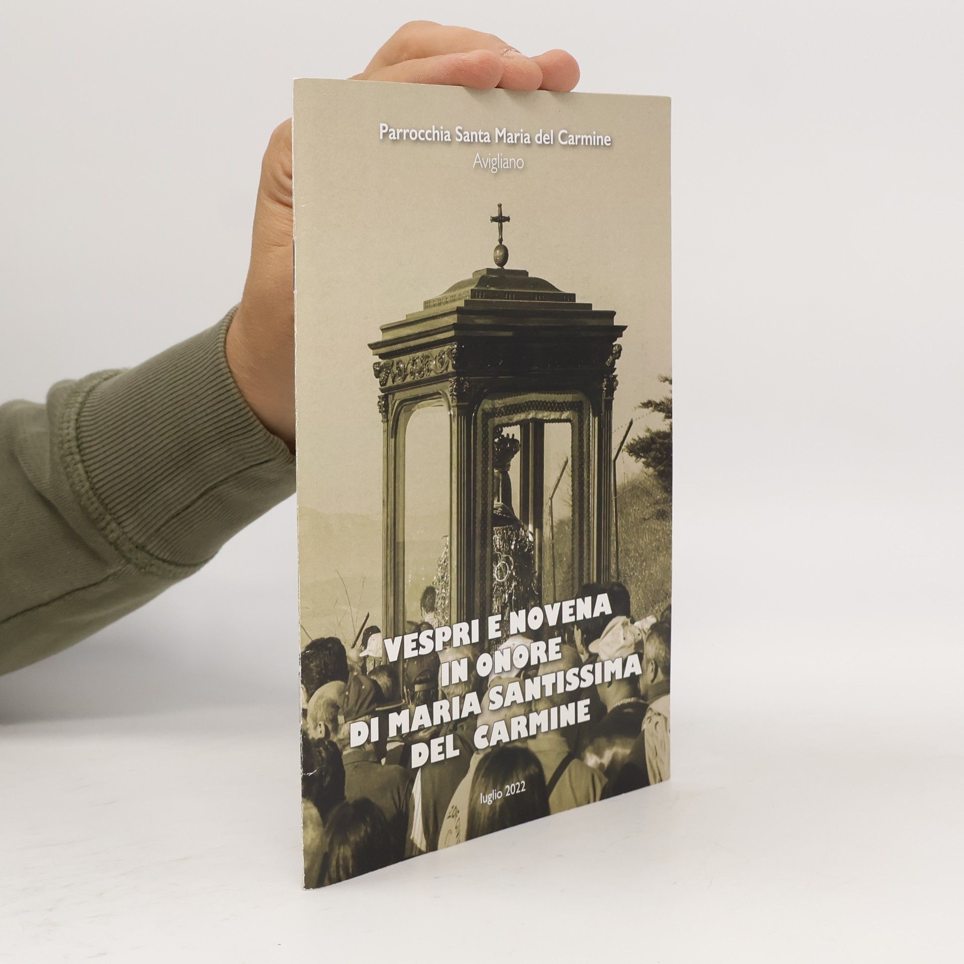 Kolektív autorov Vespri e novena in onore di Maria Santissima del Carmine