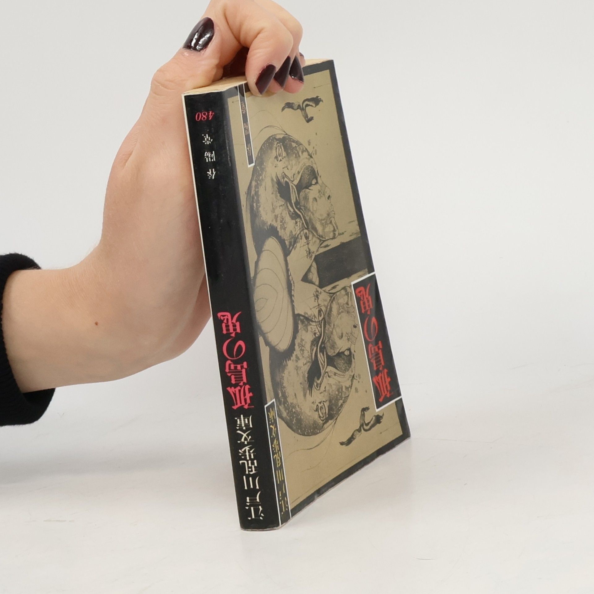 江戸川乱歩文庫 - 480: 孤島の鬼