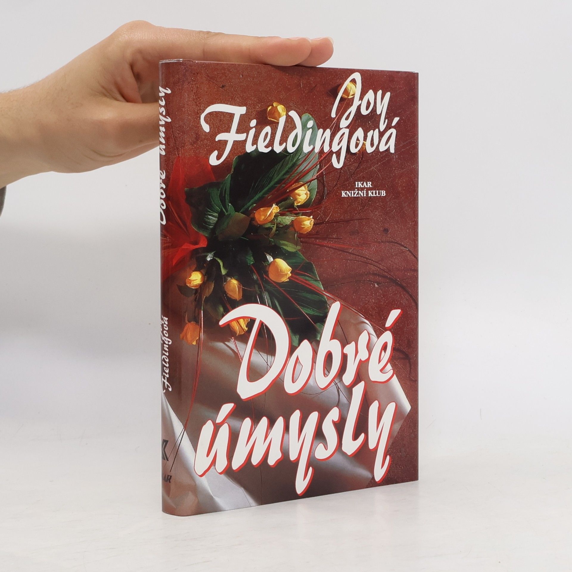 Joy Fielding Dobré úmysly