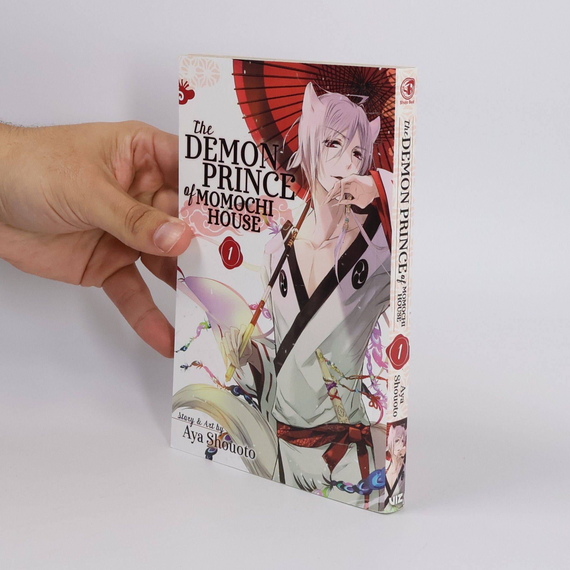 Aya Shōoto The Demon Prince of Momochi House 1