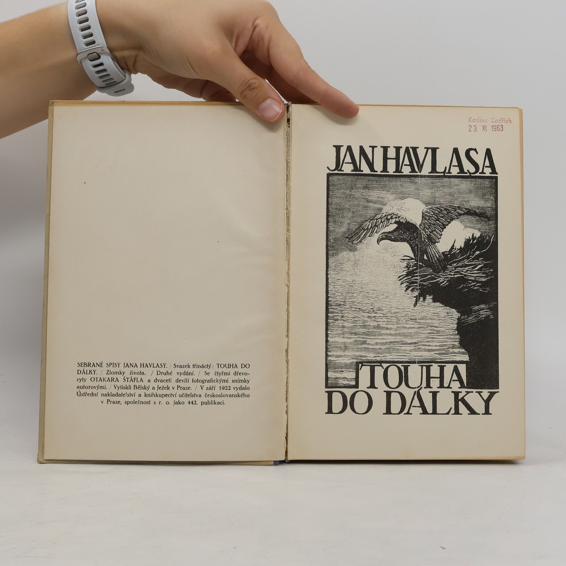 Jan Havlasa Sebrané spisy Jana Havlasy XIII : Touha do dálky