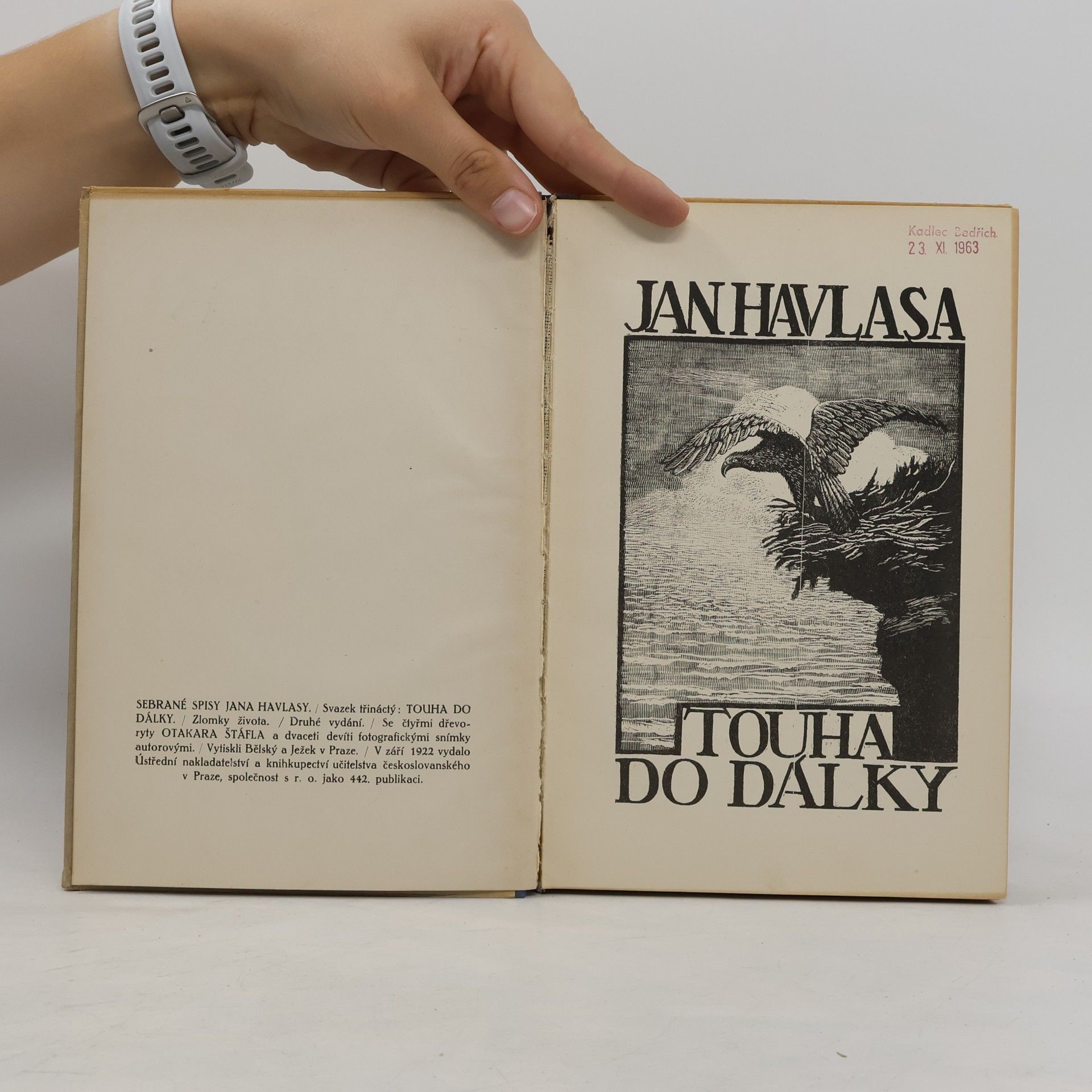 Jan Havlasa Sebrané spisy Jana Havlasy XIII : Touha do dálky
