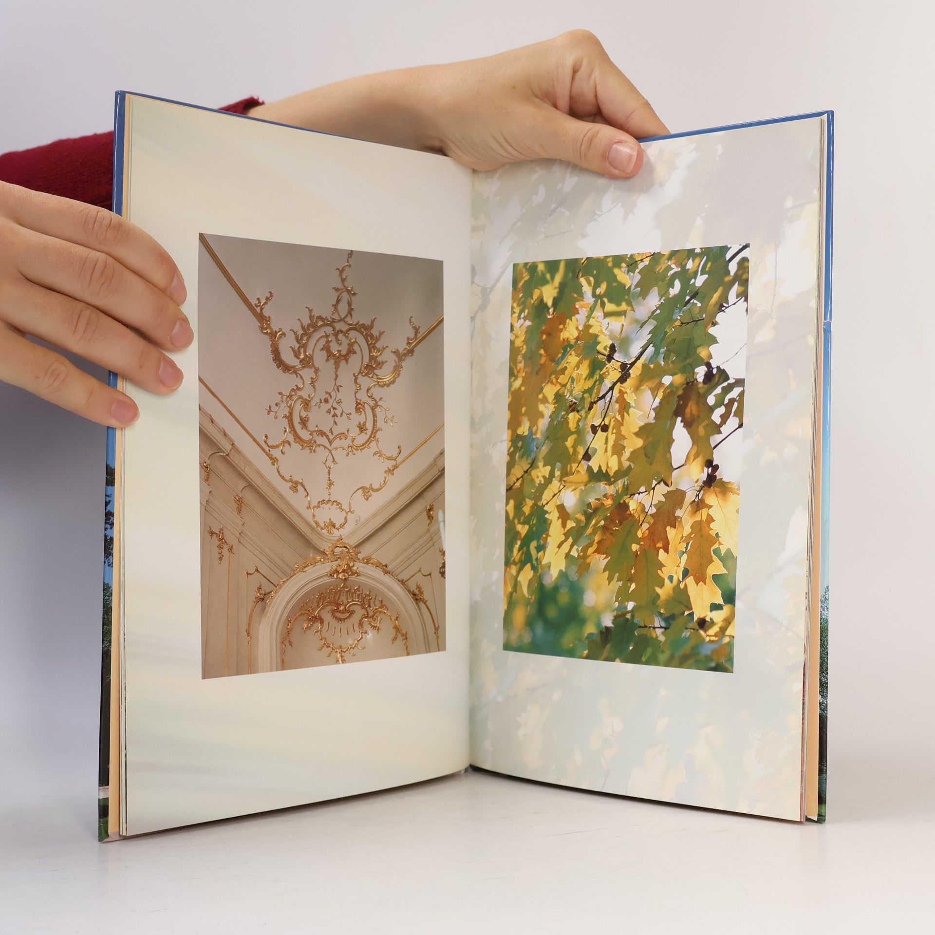 Collectif d'auteurs Gödölö. Das Schloss der Königin