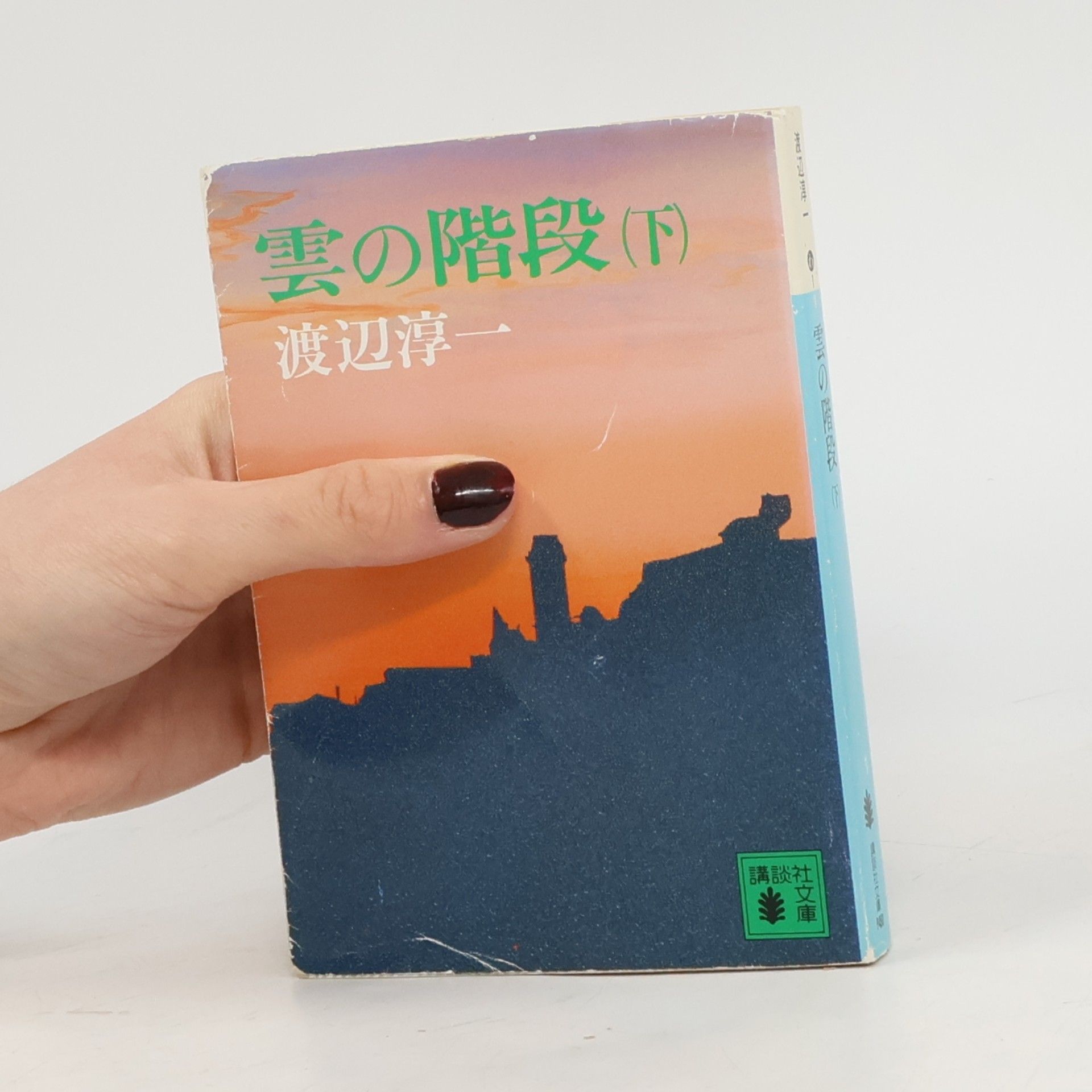渡辺淳一 講談社文庫 - 2: 雲の階段