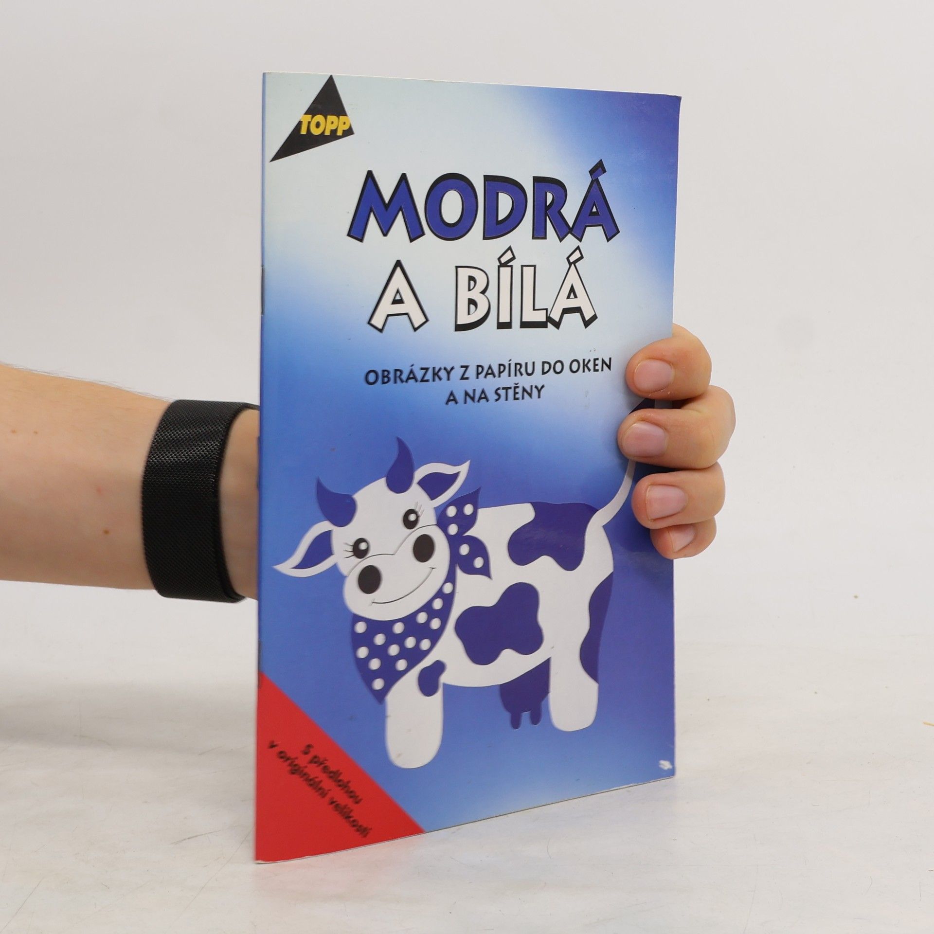 Modrá a bílá : obrázky z papíru do oken a na stěny