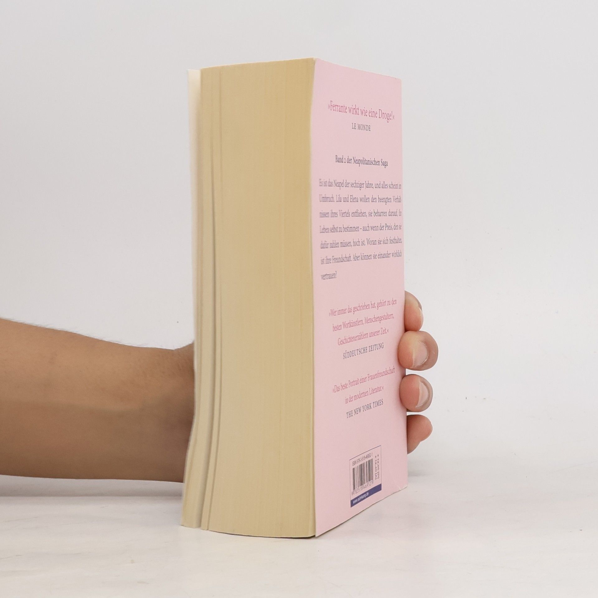 Elena Ferrante Die Geschichte eines neuen Namens