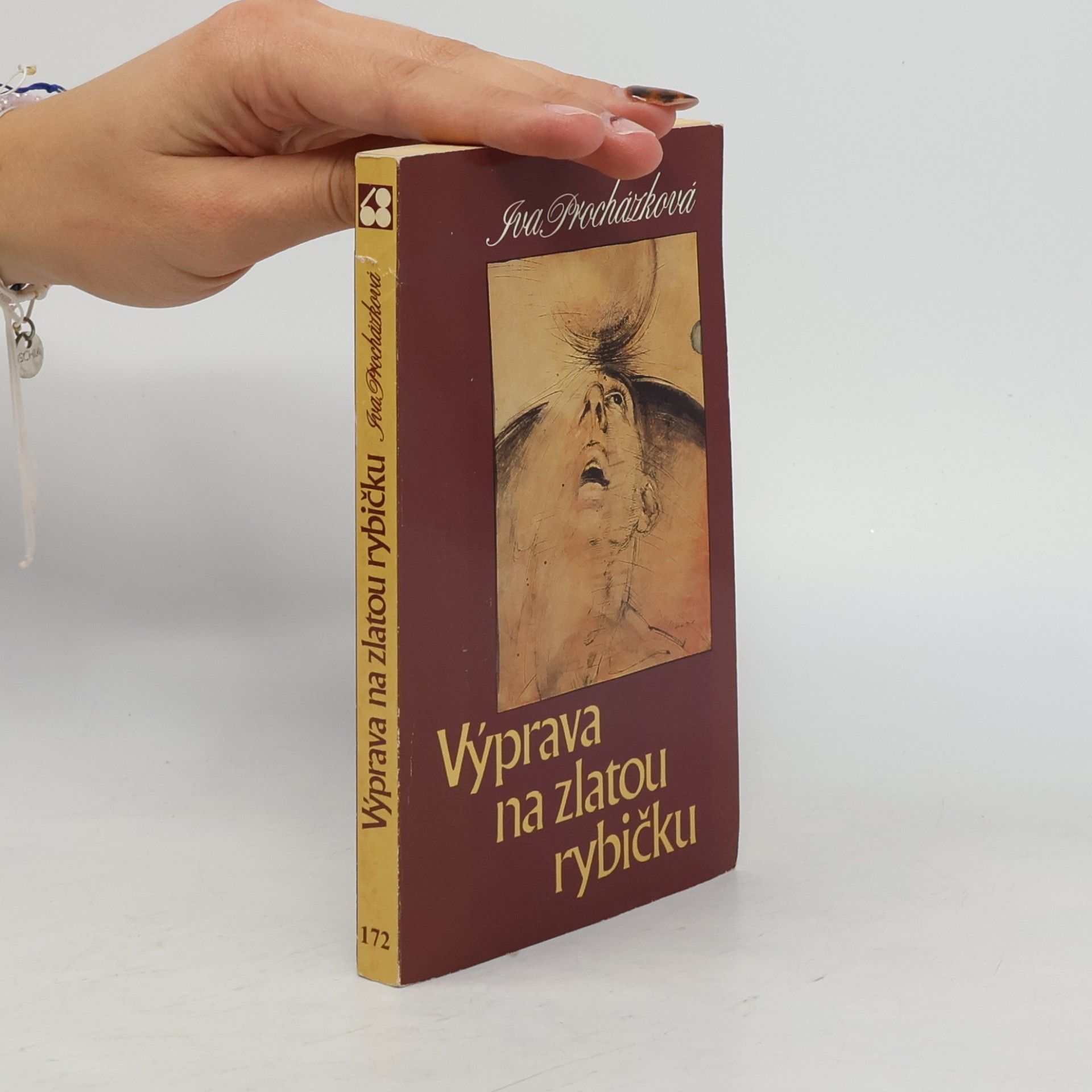 Iva Procházková Výprava na zlatou rybičku