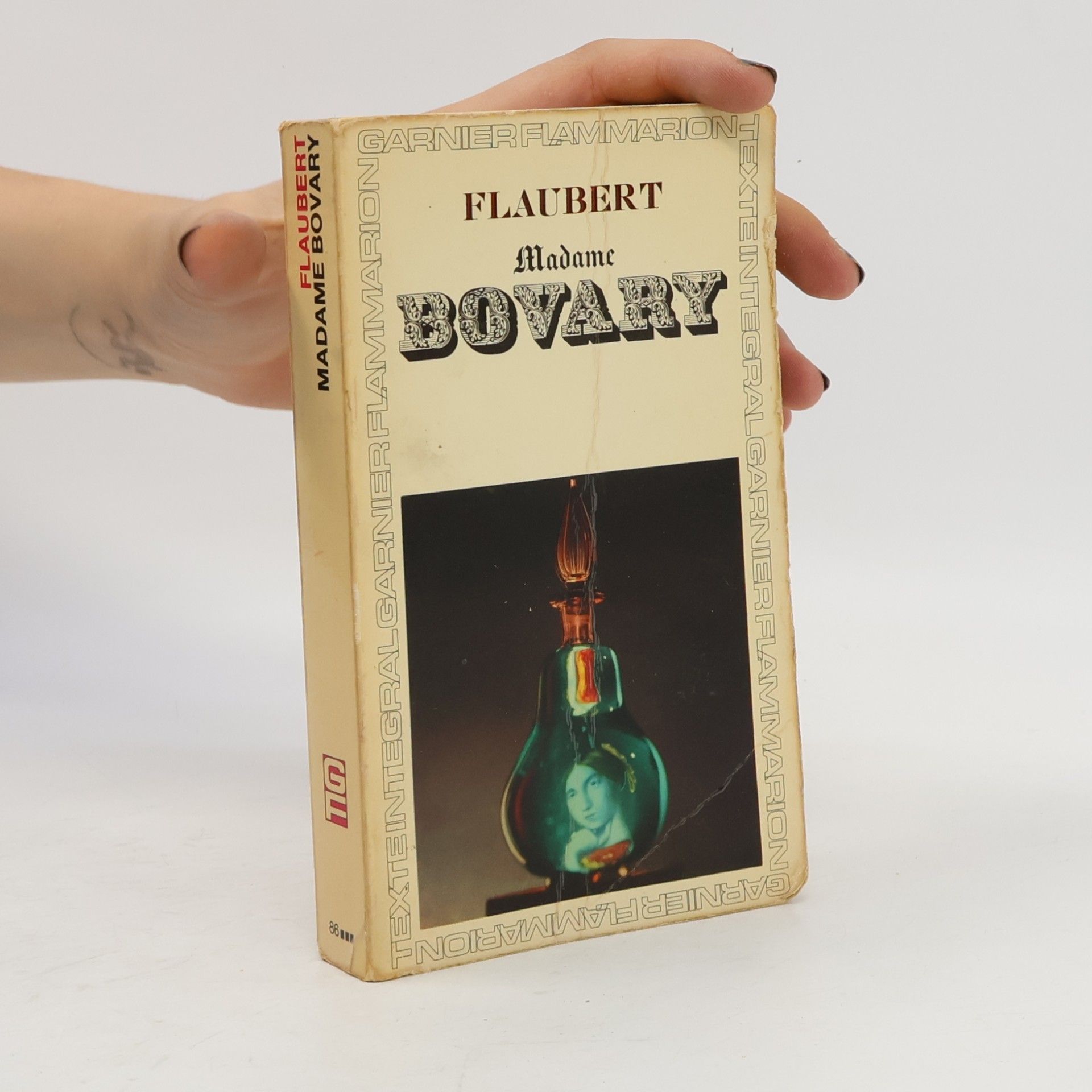Gustave Flaubert Madame Bovary
