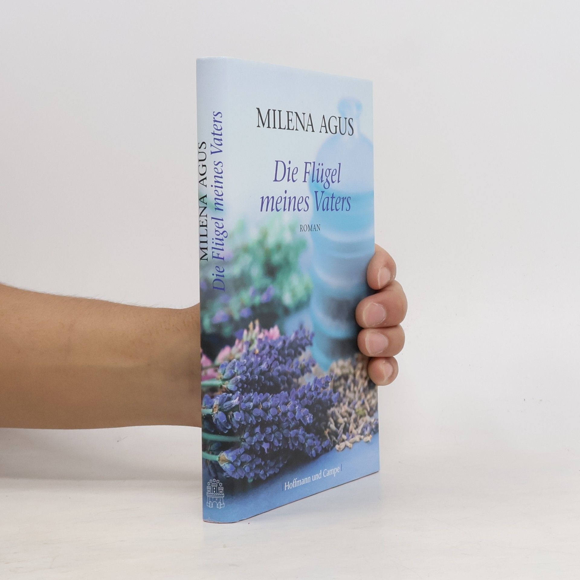 Milena Agus Die Flügel meines Vaters