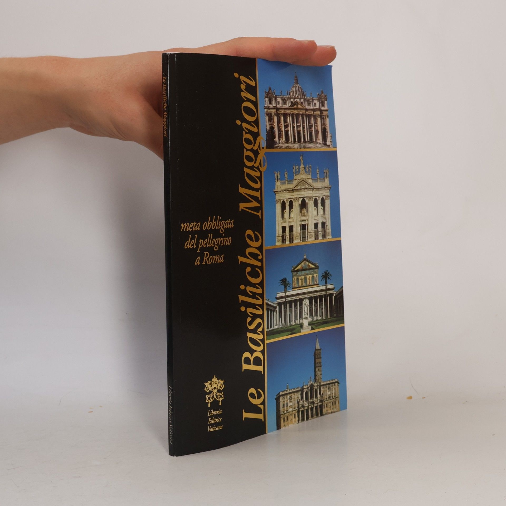 Kolektív autorov Guide: Le basiliche maggiori