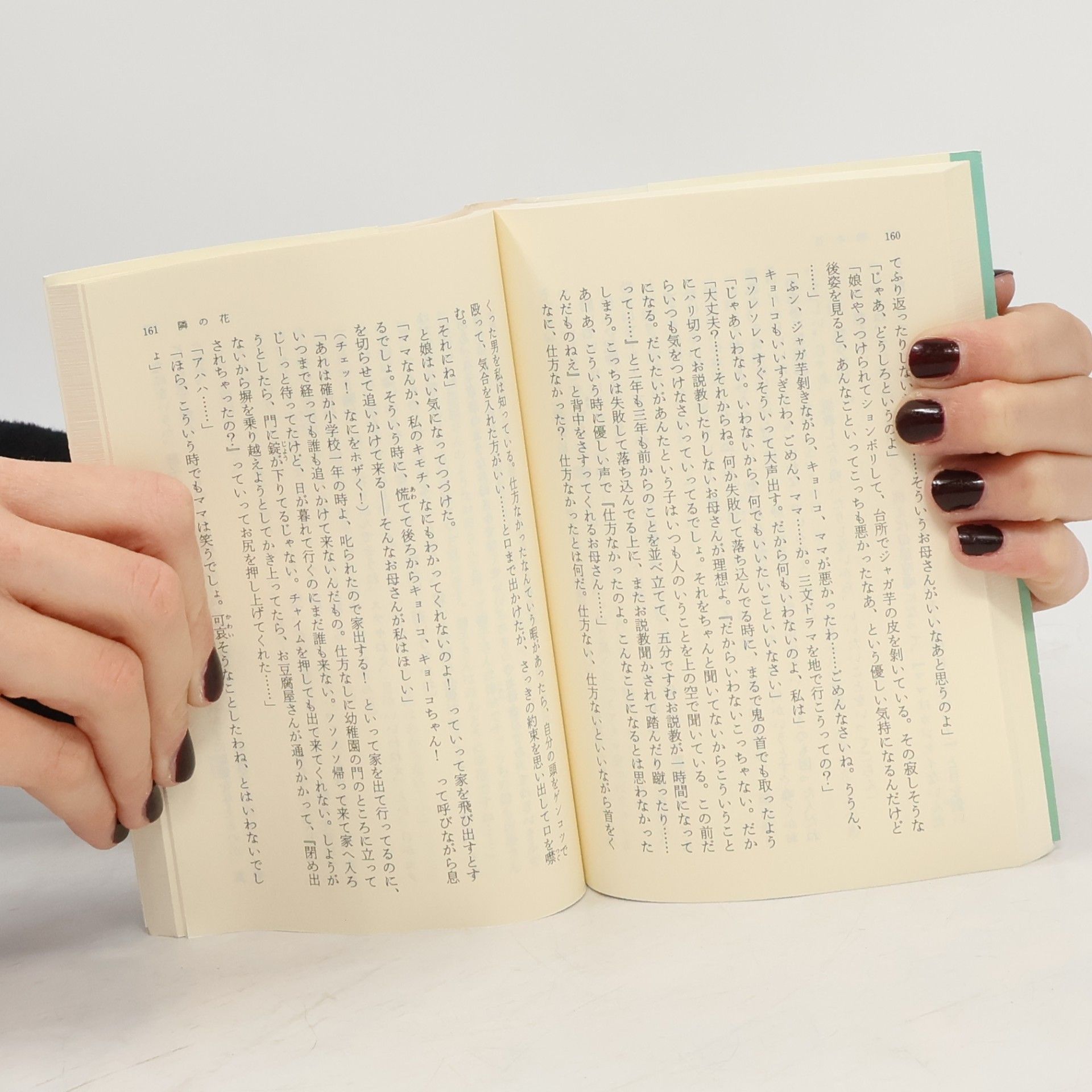 佐藤愛子 集英社文庫: 娘と私(わたし)のただ今のご意見