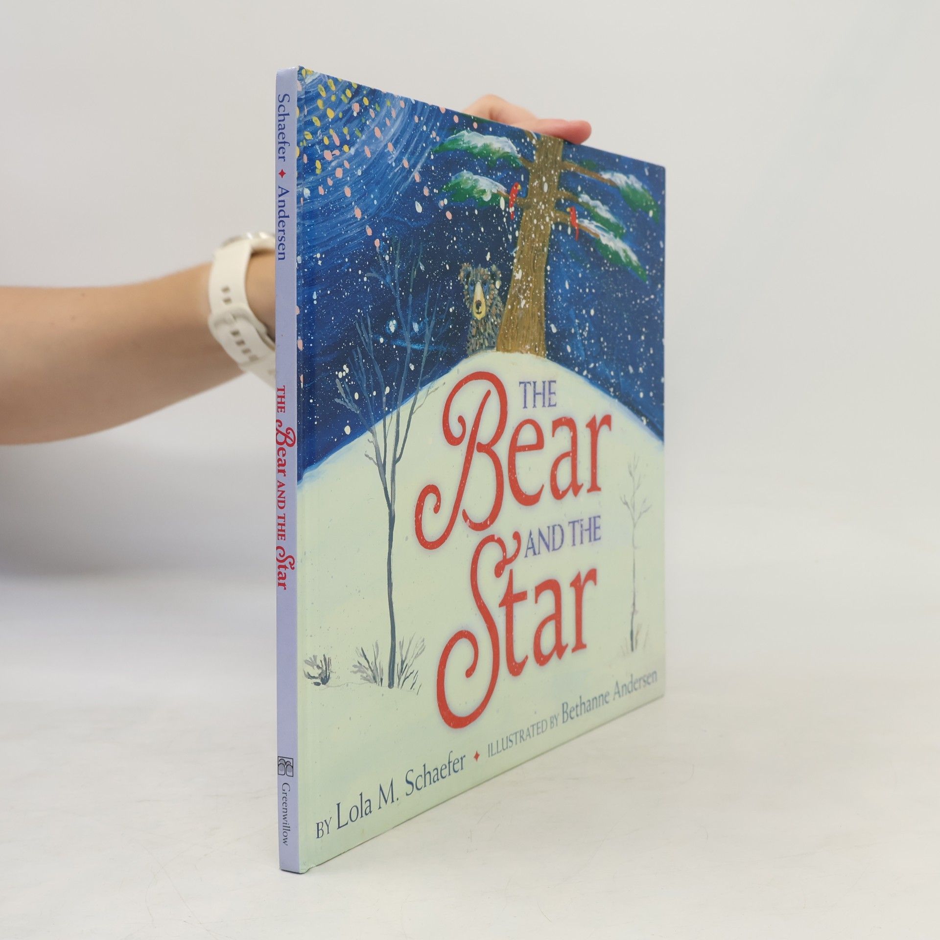 Bethanne Andersen The Bear and the Star