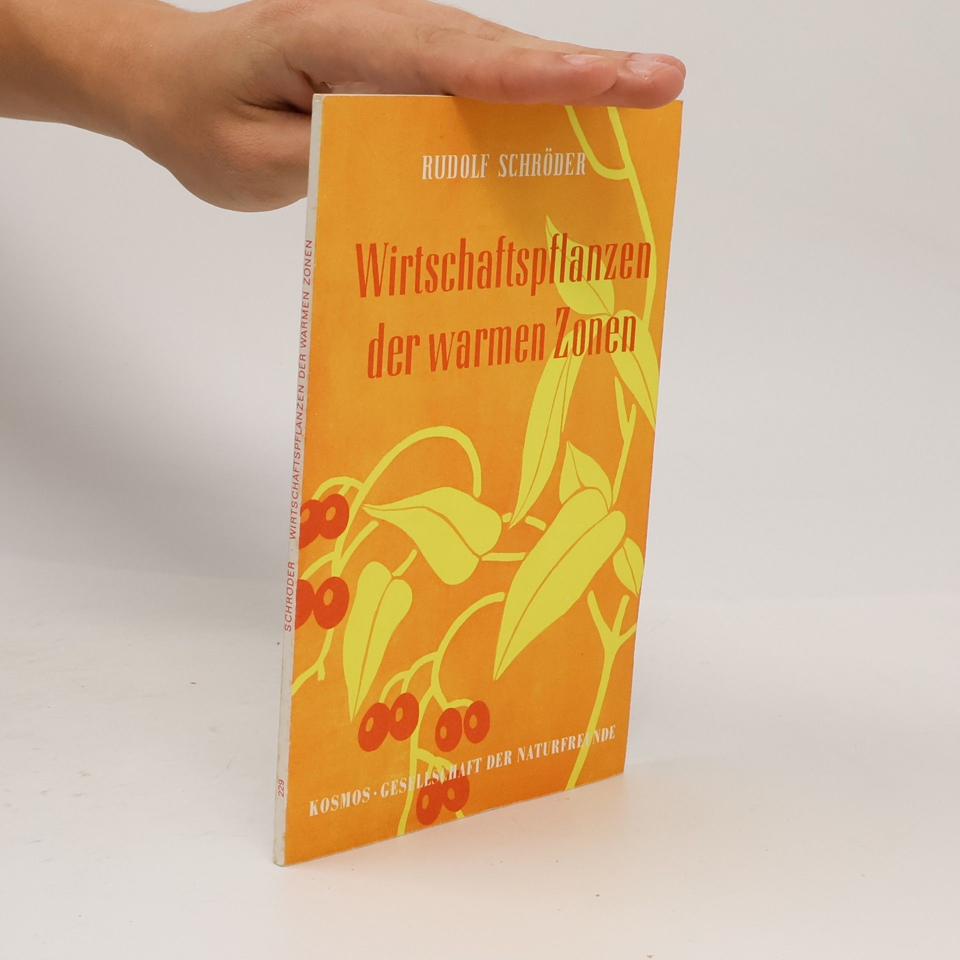 Kolektiv autorů Wirtschaftspflanzen der warmen Zonen
