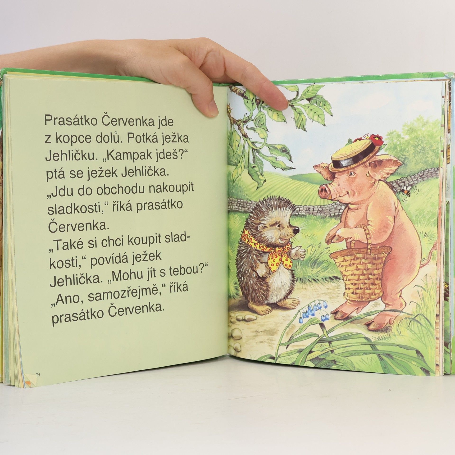 June Woodman Neposedná kachňátka v ZOO
