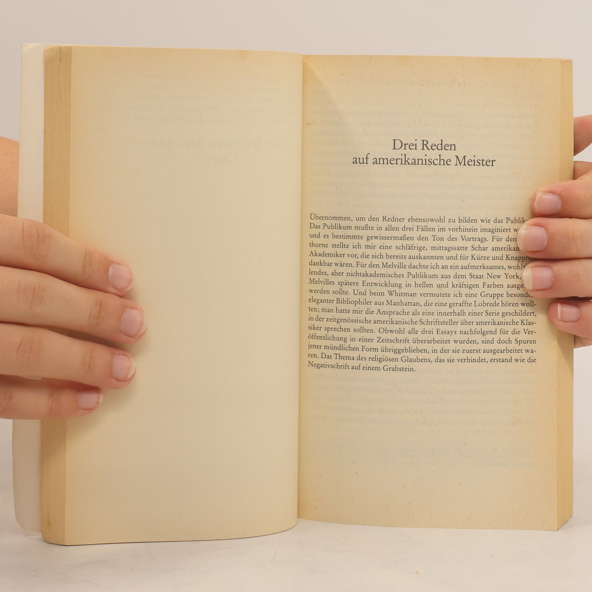 John Updike Amerikaner und andere Menschen