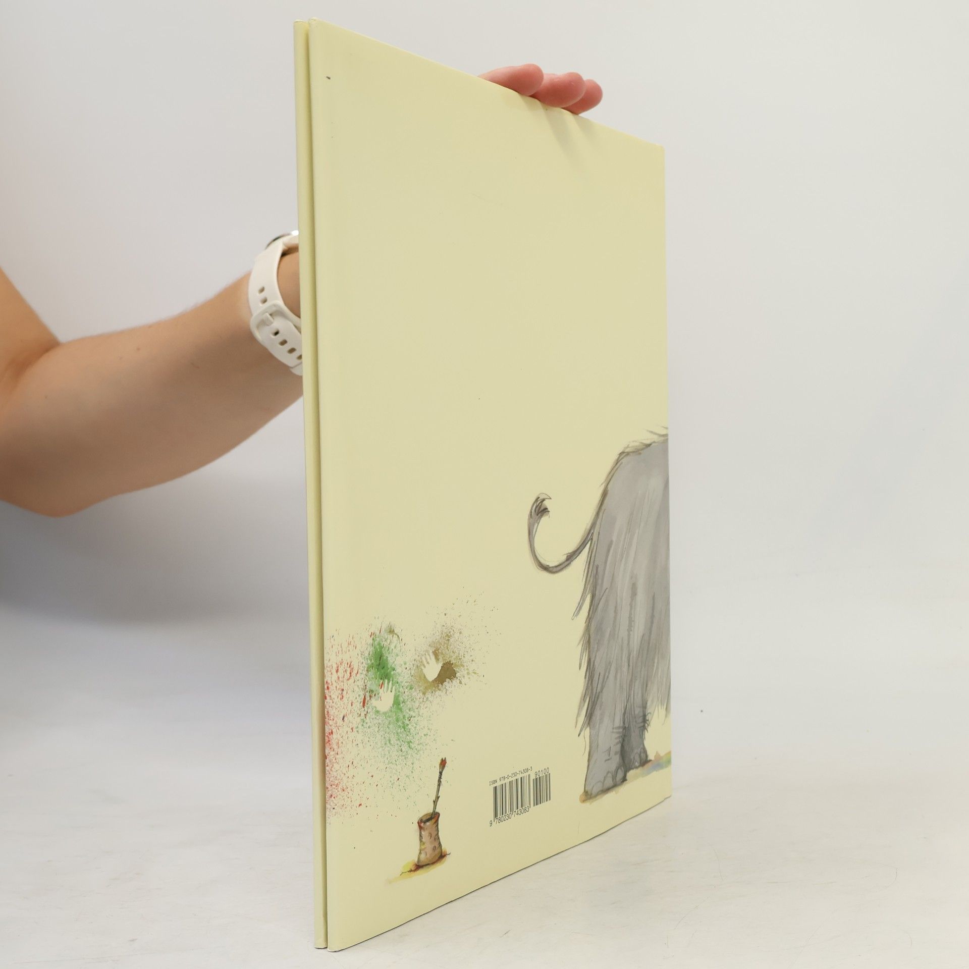 Julia Donaldson Cave Baby