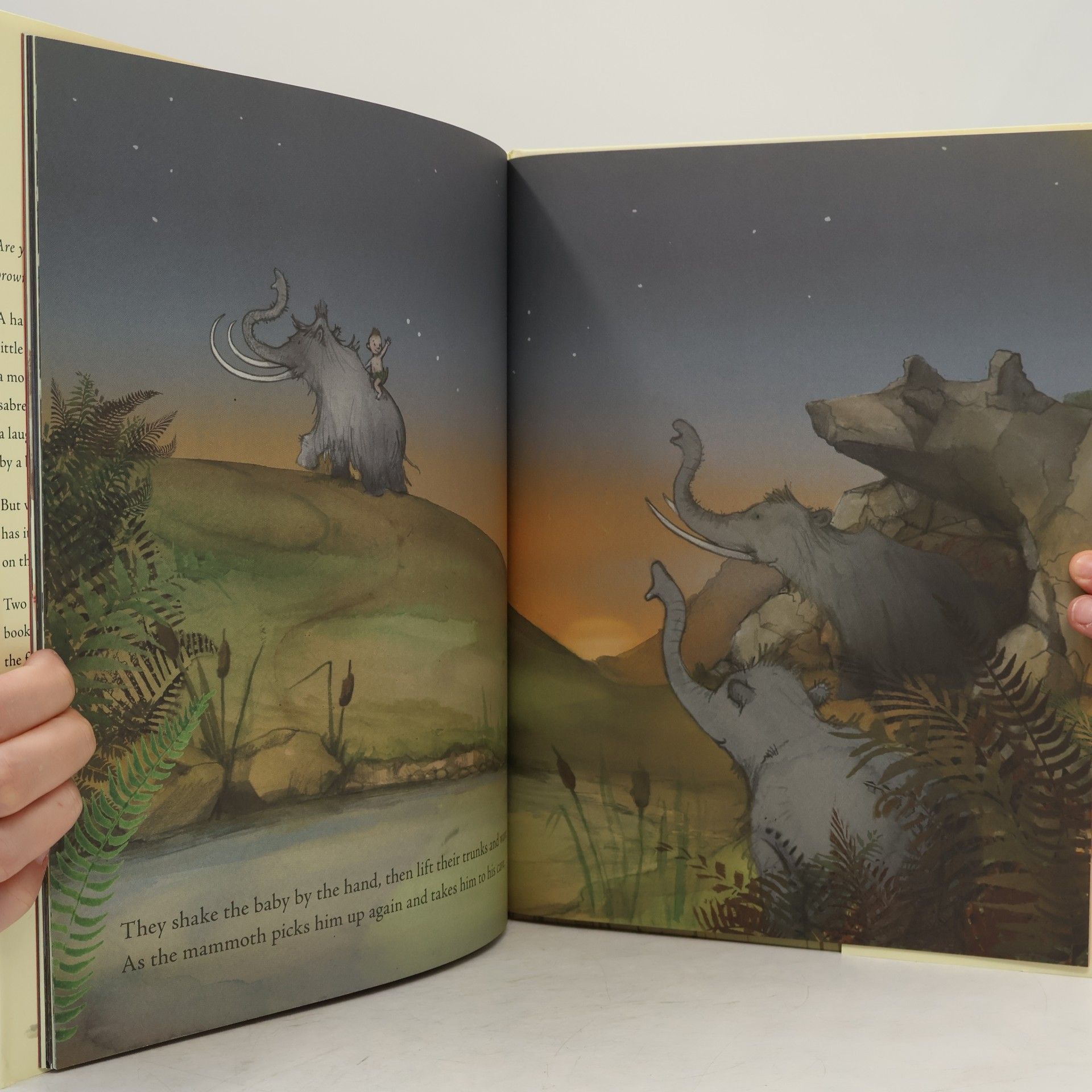 Julia Donaldson Cave Baby