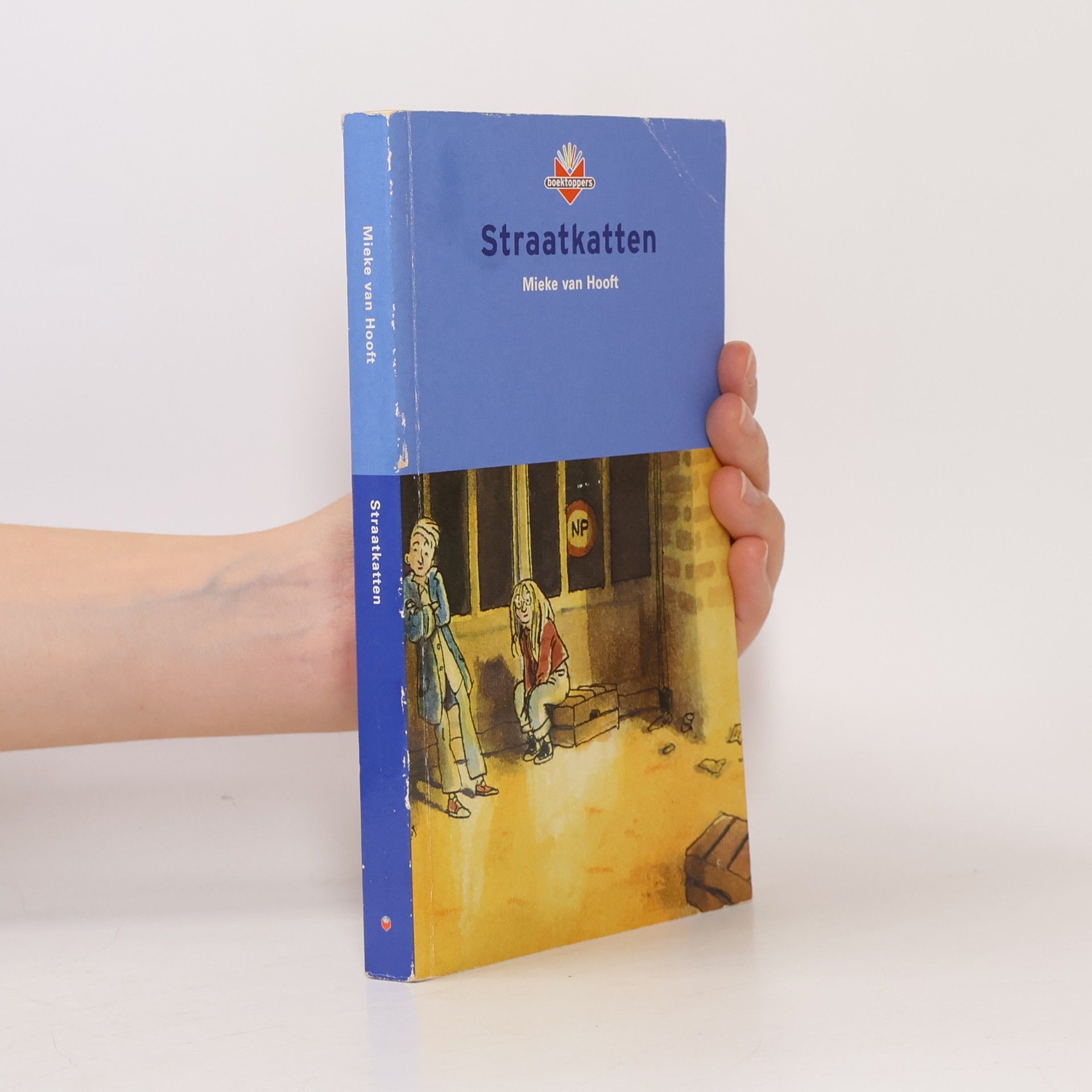 Mieke van Hooft Straatkatten