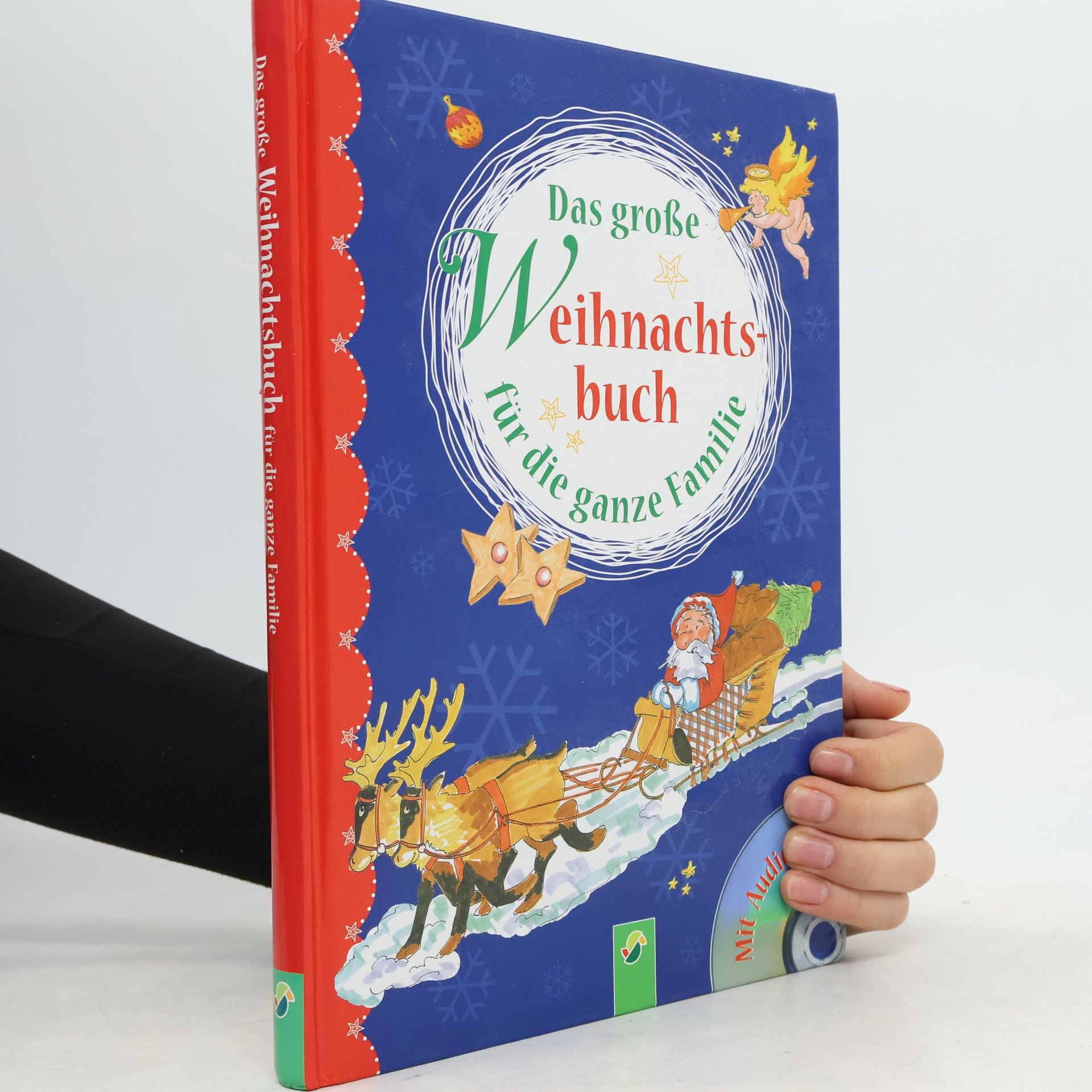 Ingrid Pabst Das große Weihnachtsbuch für die ganze Familie