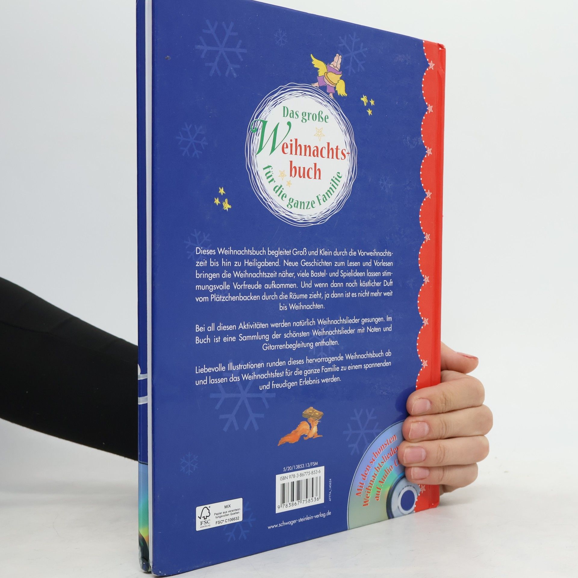 Ingrid Pabst Das große Weihnachtsbuch für die ganze Familie