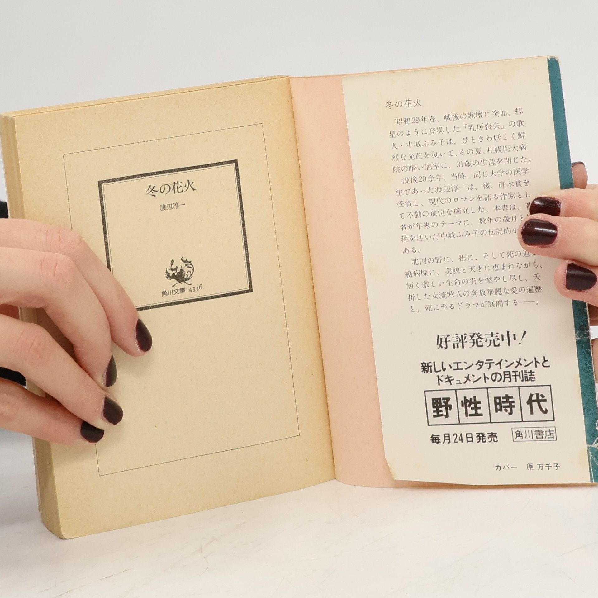 渡辺淳一 冬の花火