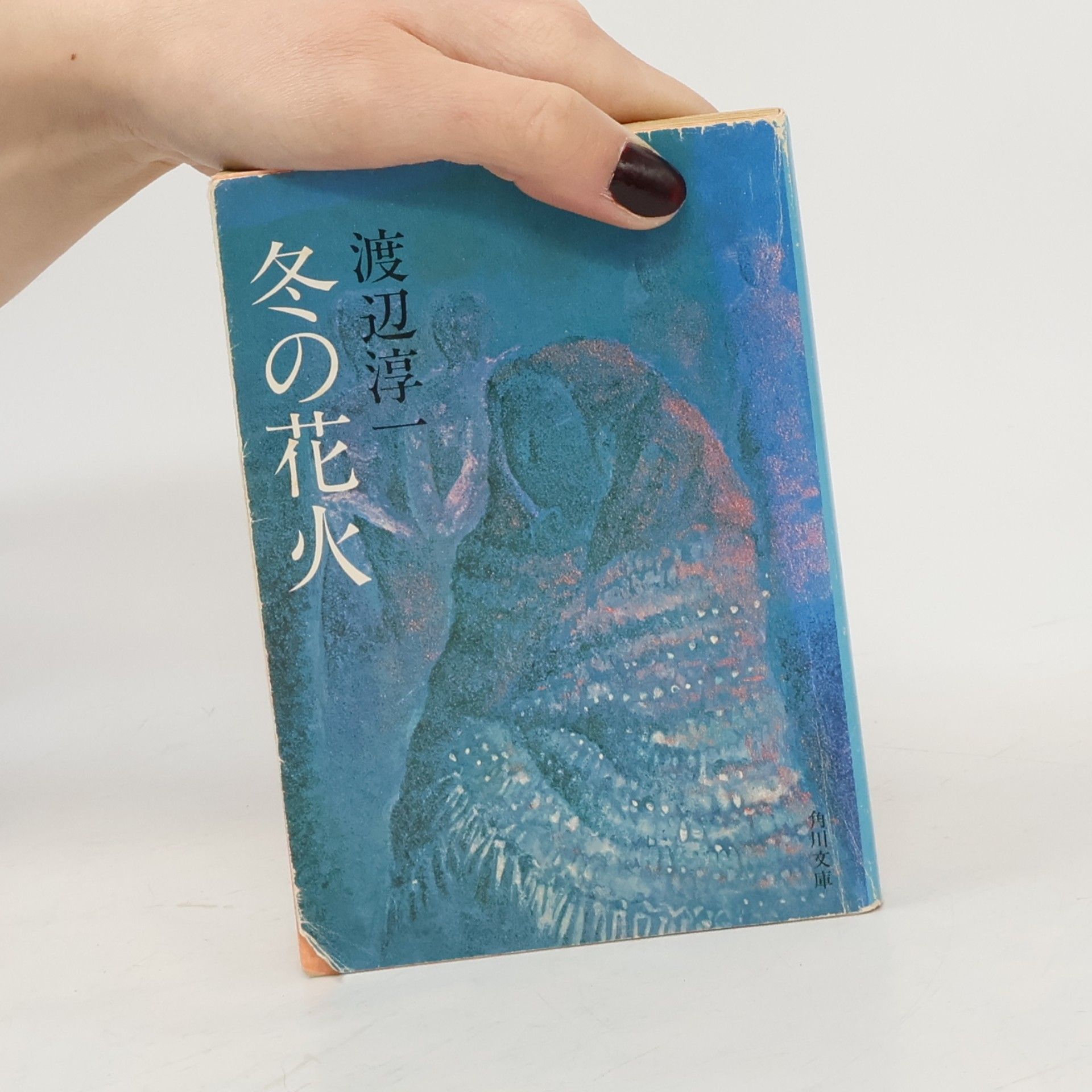 渡辺淳一 冬の花火