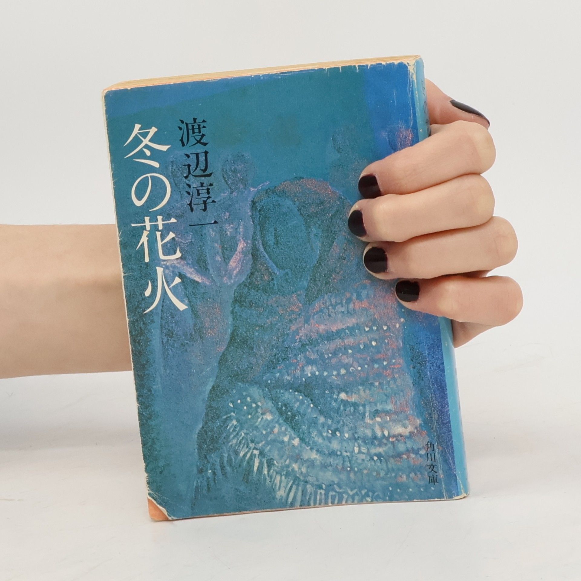 渡辺淳一 冬の花火