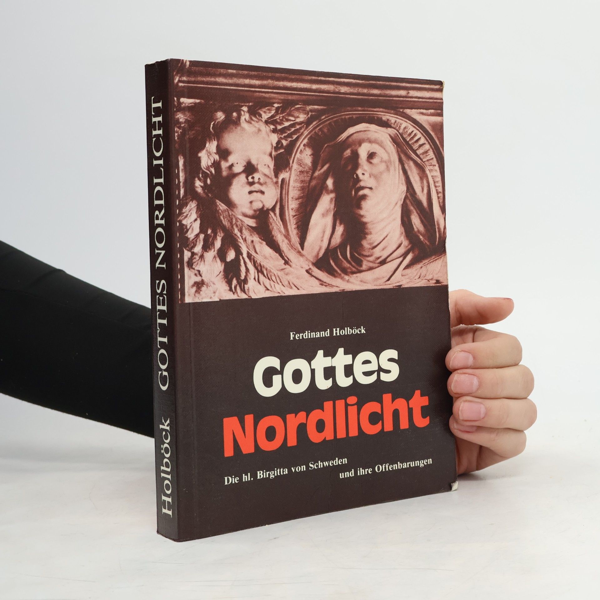 Ferdinand Holböck Gottes Nordlicht