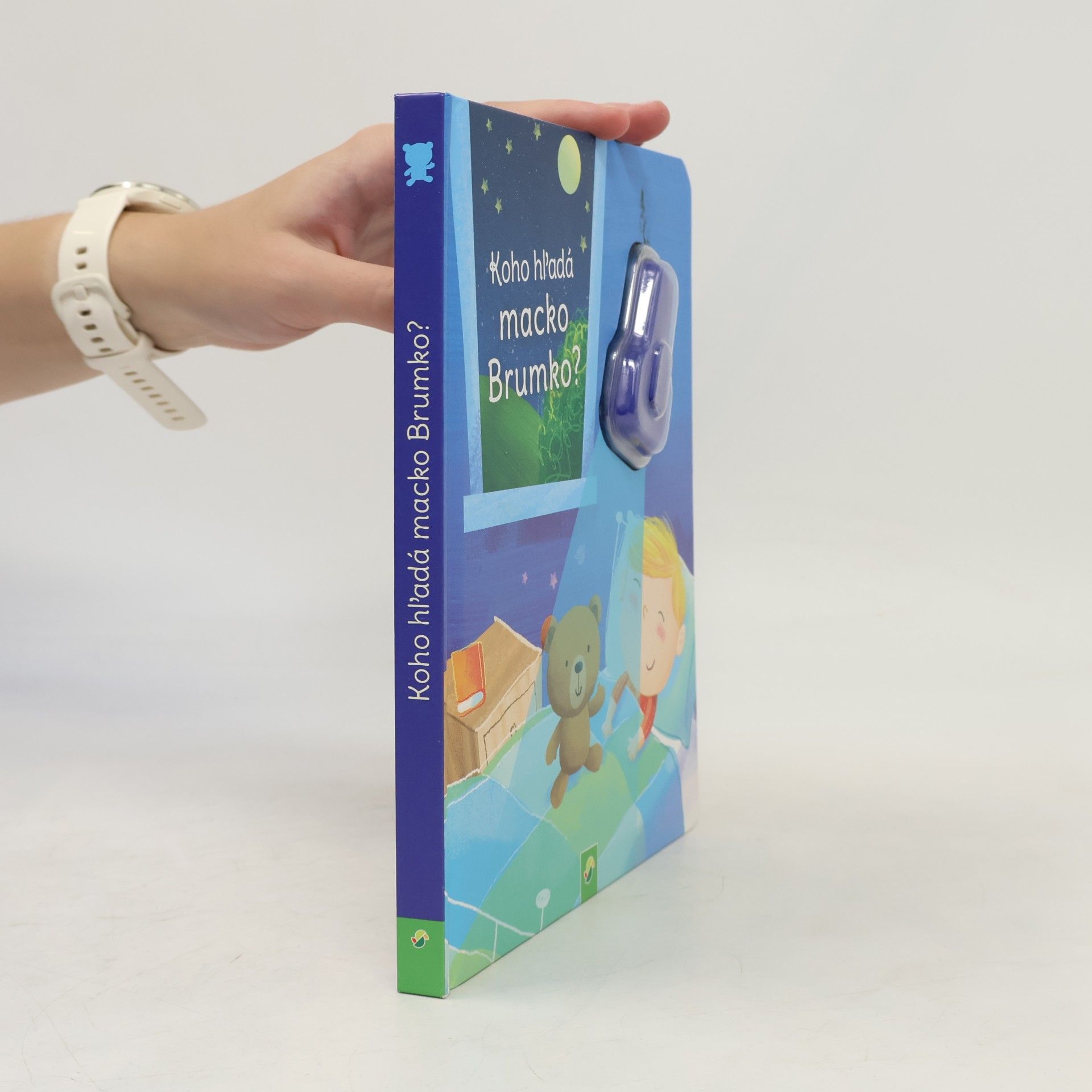 Various authors Koho hledá medvídek Míša?